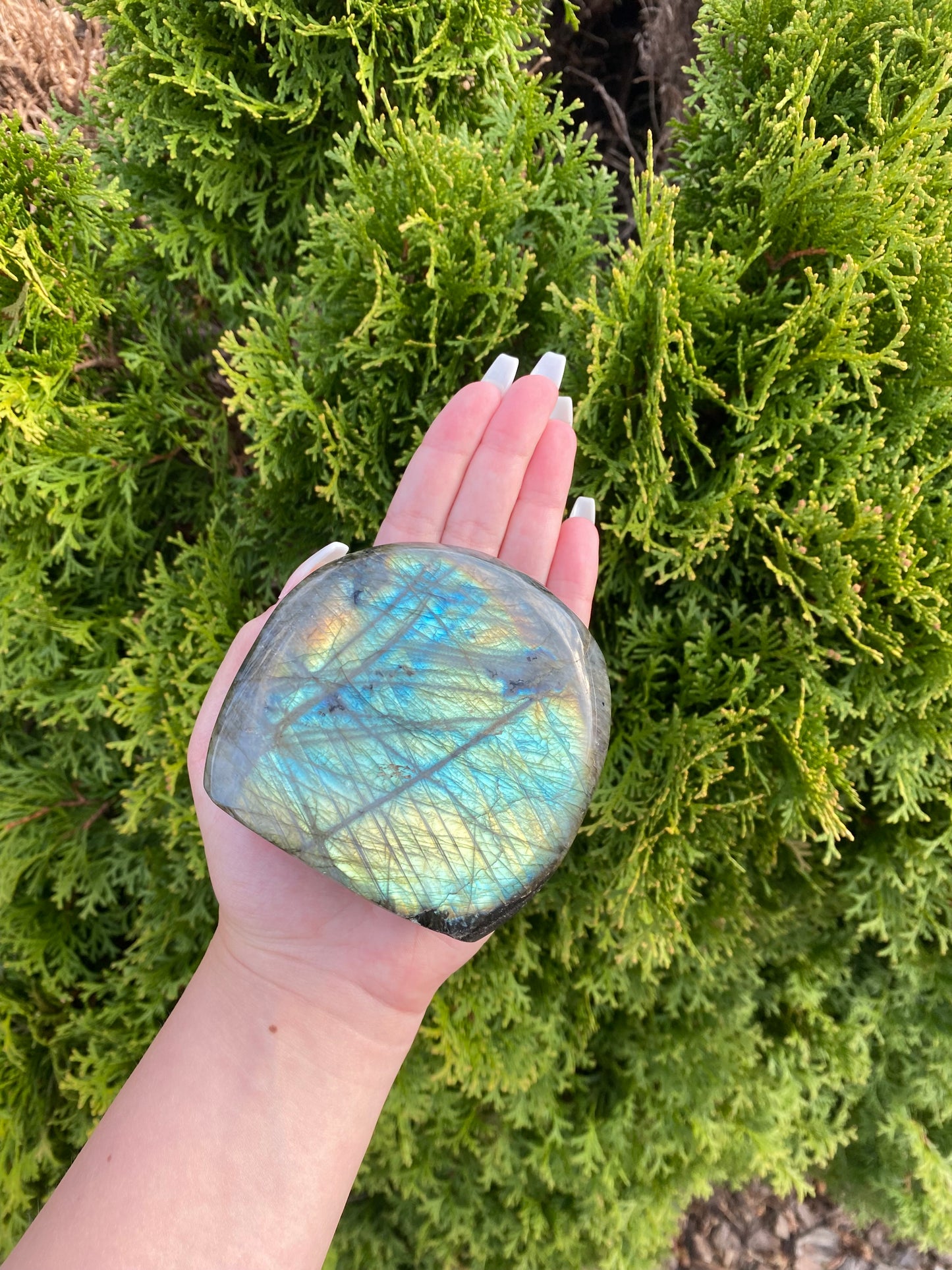 Labradorite Freeform