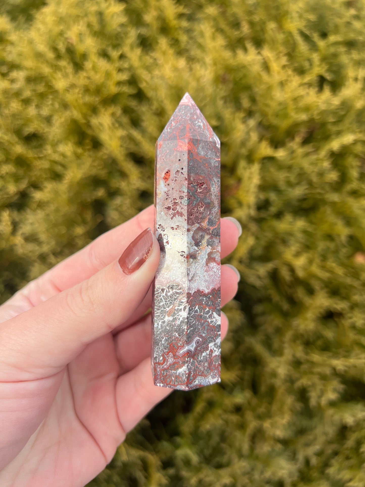 Mexico Lace Agate Point