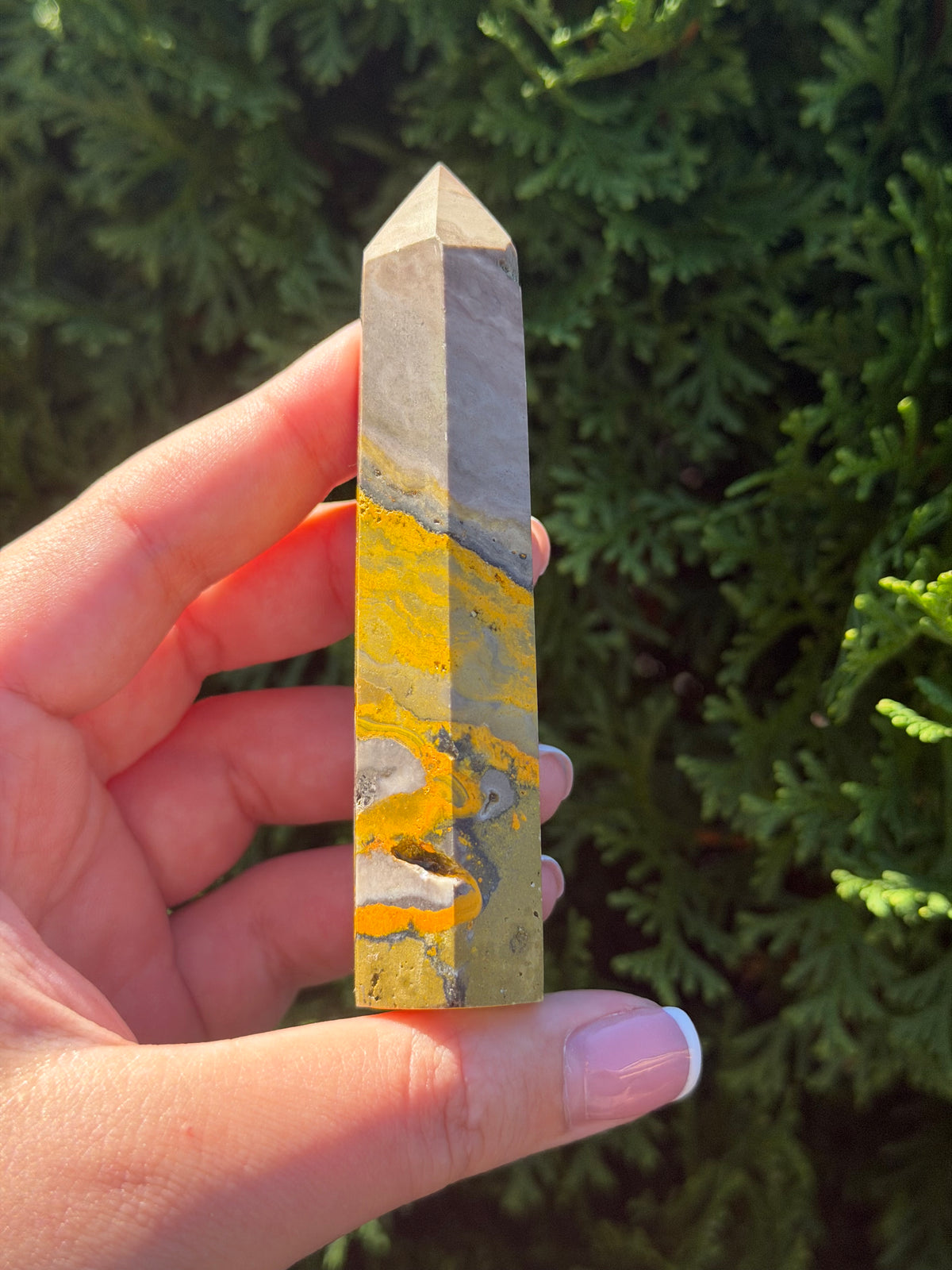 Bumblebee Jasper Point #1