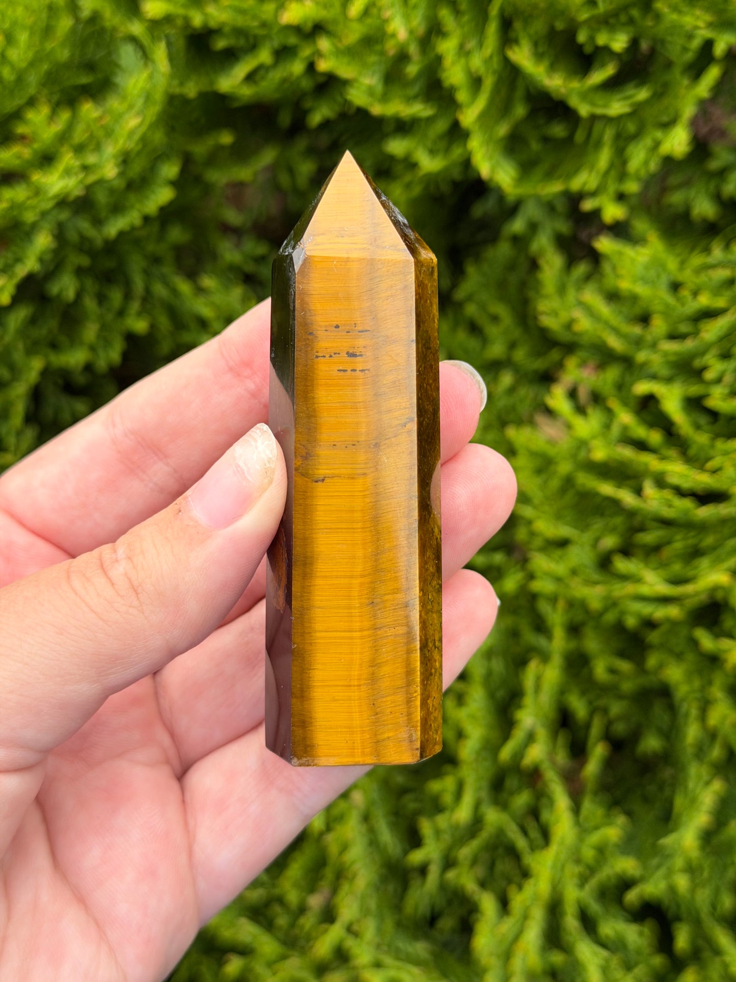 Tiger’s Eye Point 1