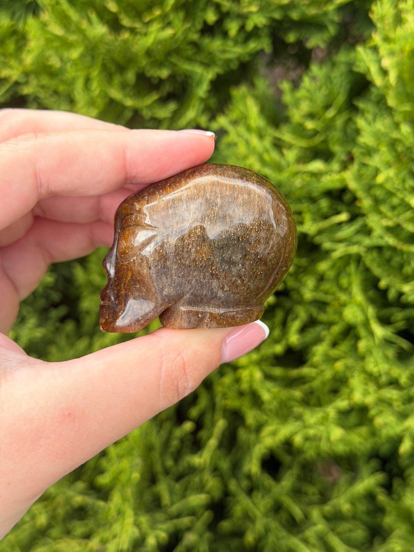 Tiger’s Eye Alien Head