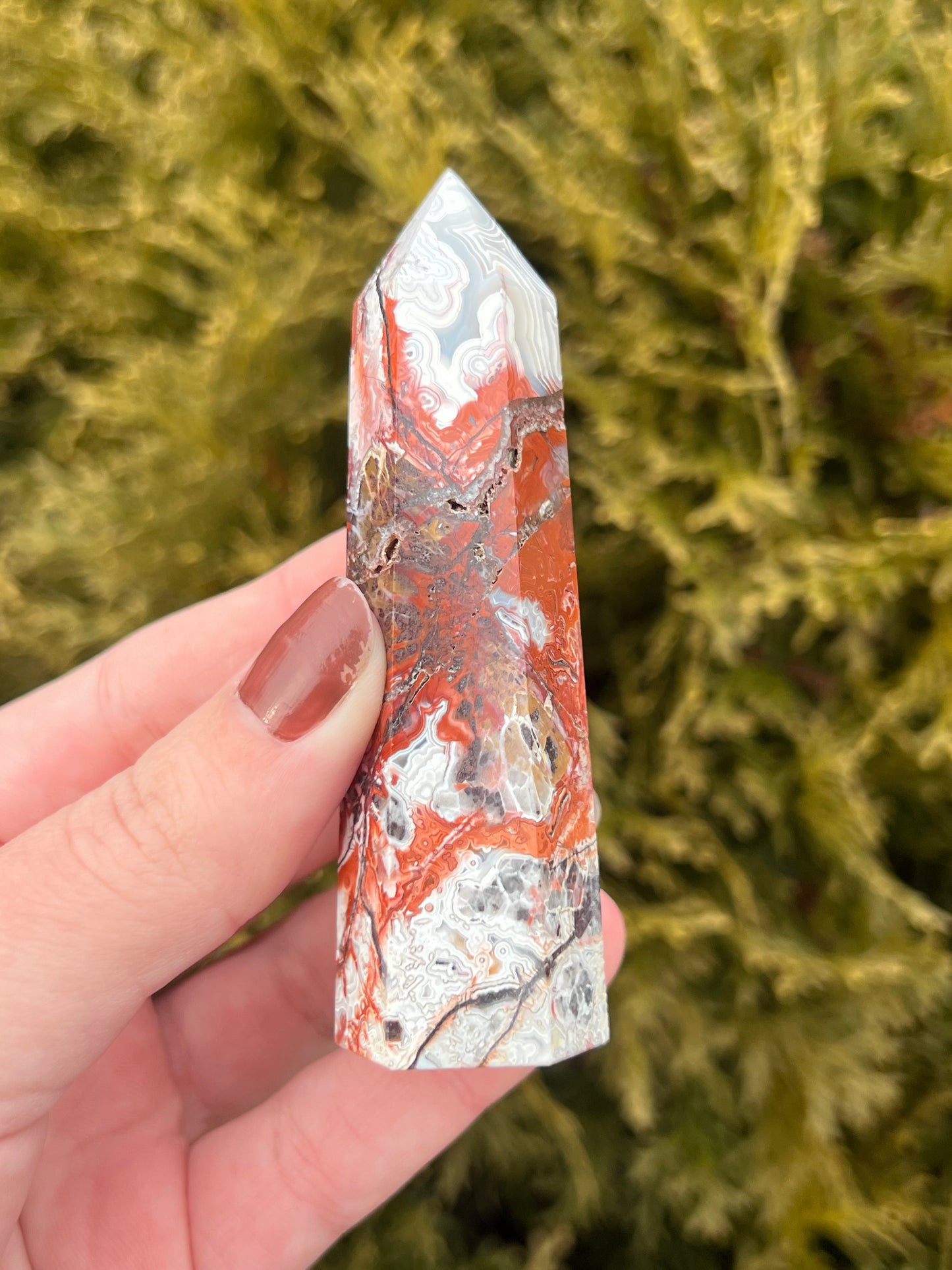 Mexico Lace Agate Point