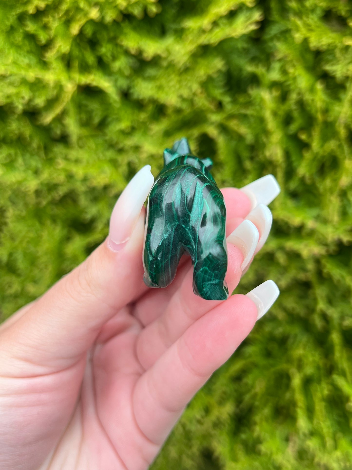 Malachite Rhinoceros