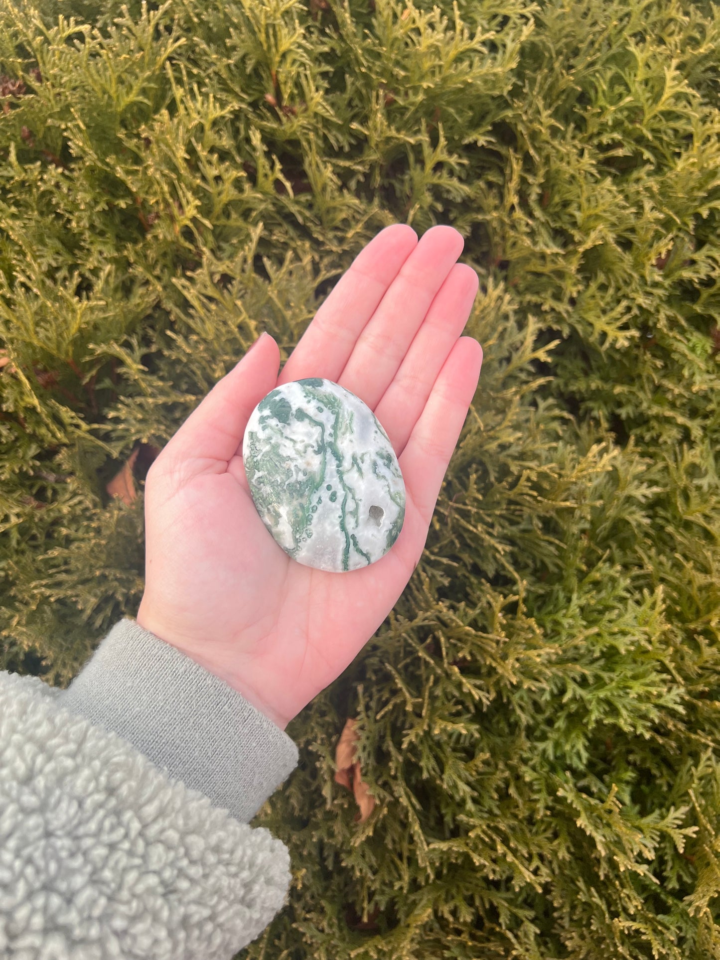 Druzy Moss Agate Palm Stone