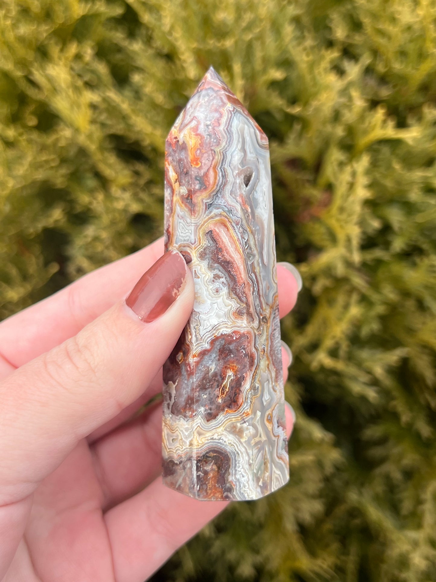 Mexico Lace Agate Point
