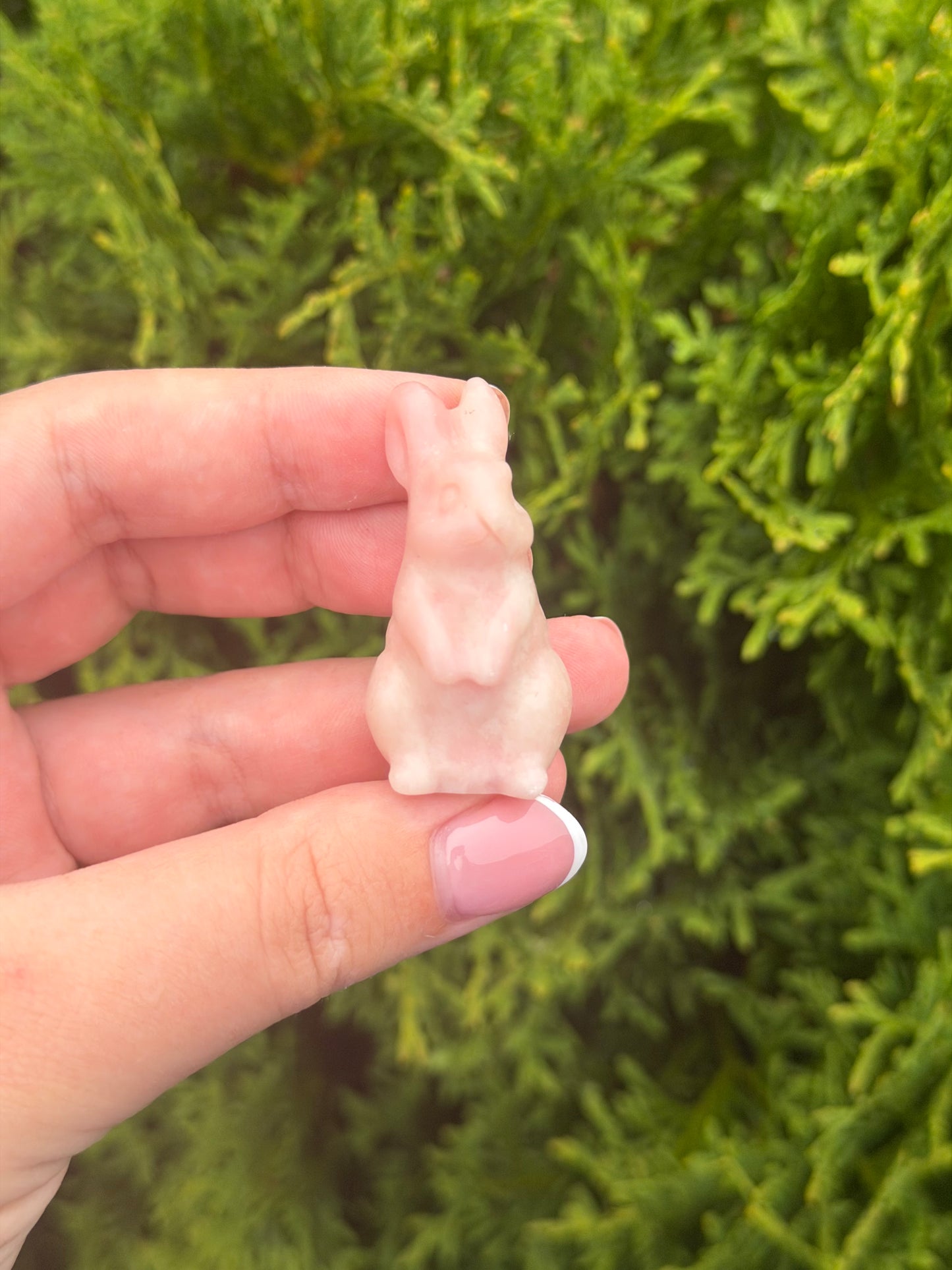 Pink Opal Bunny