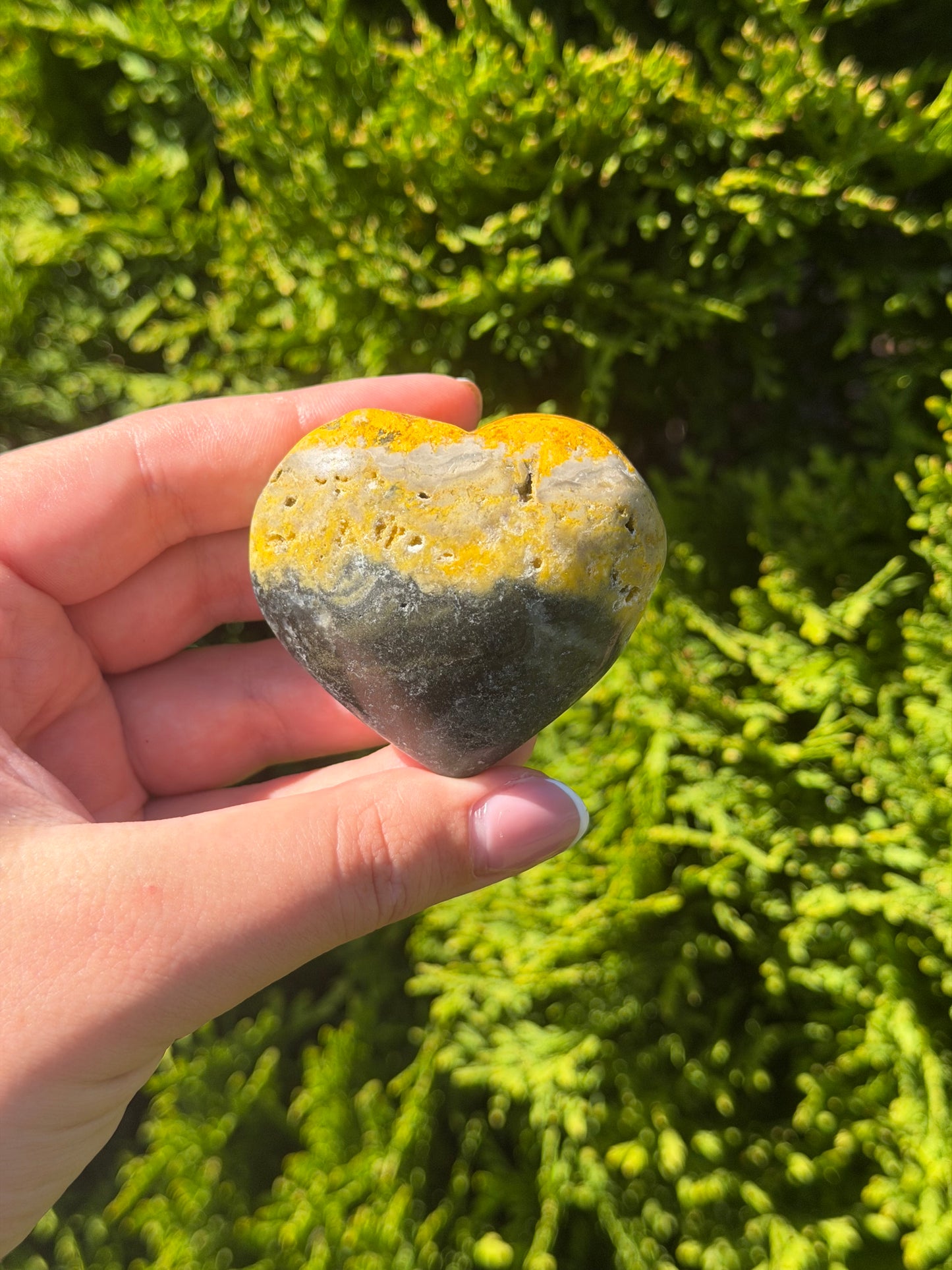 Bumblebee Jasper Heart