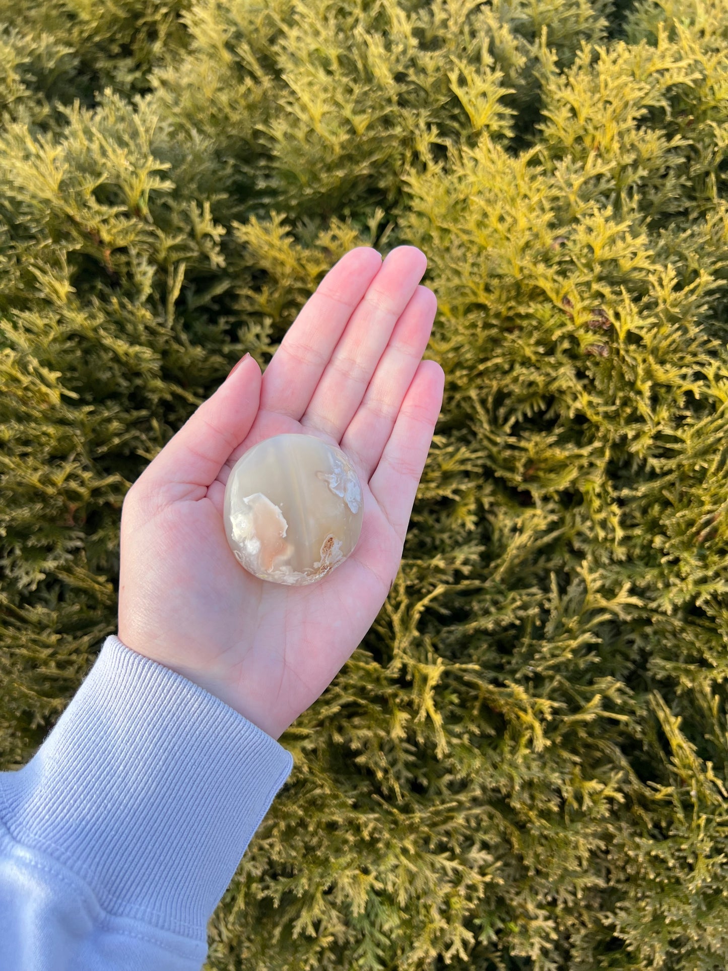 Flower Agate Palm Stone