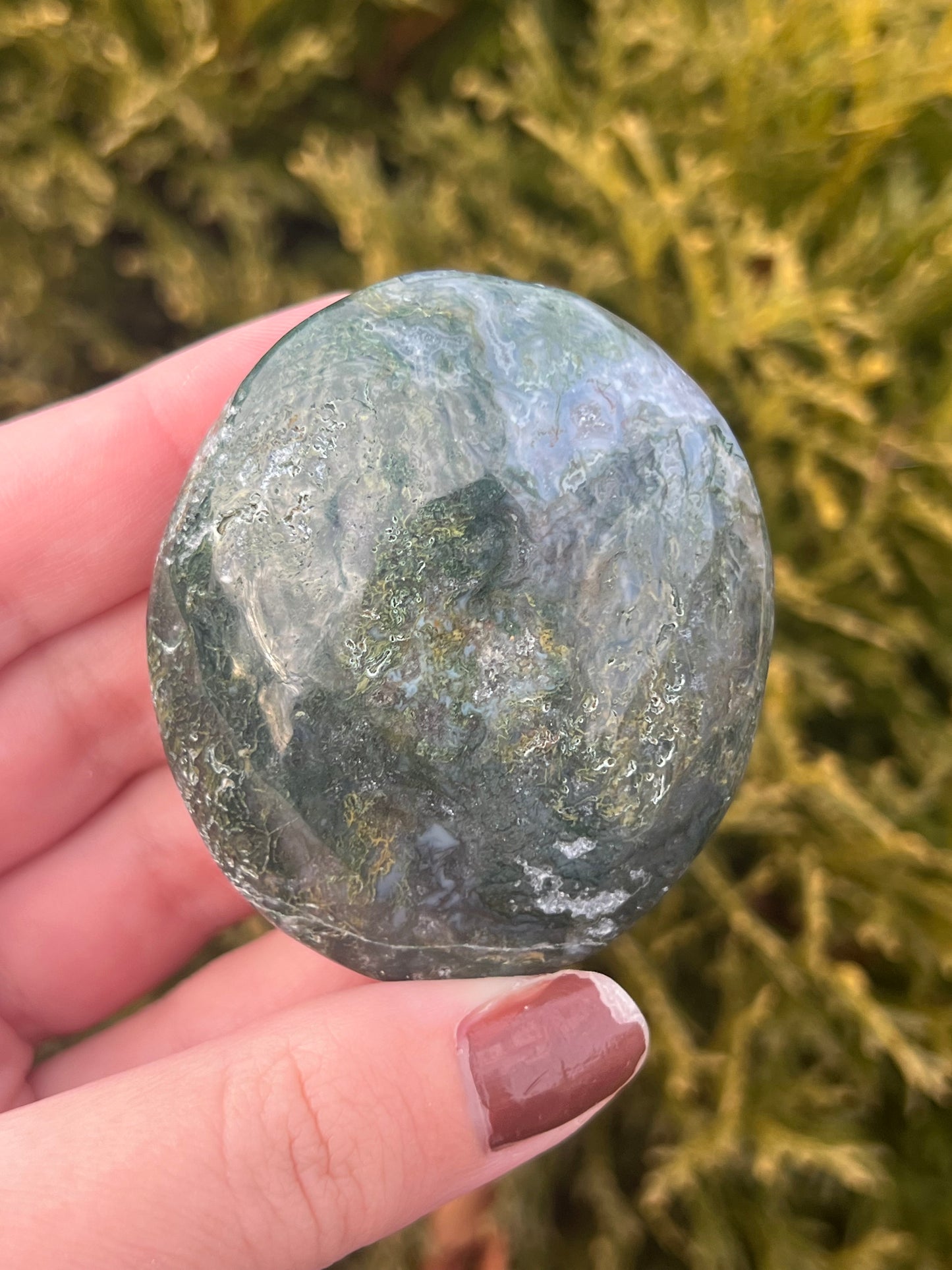 Moss Agate Palm Stone
