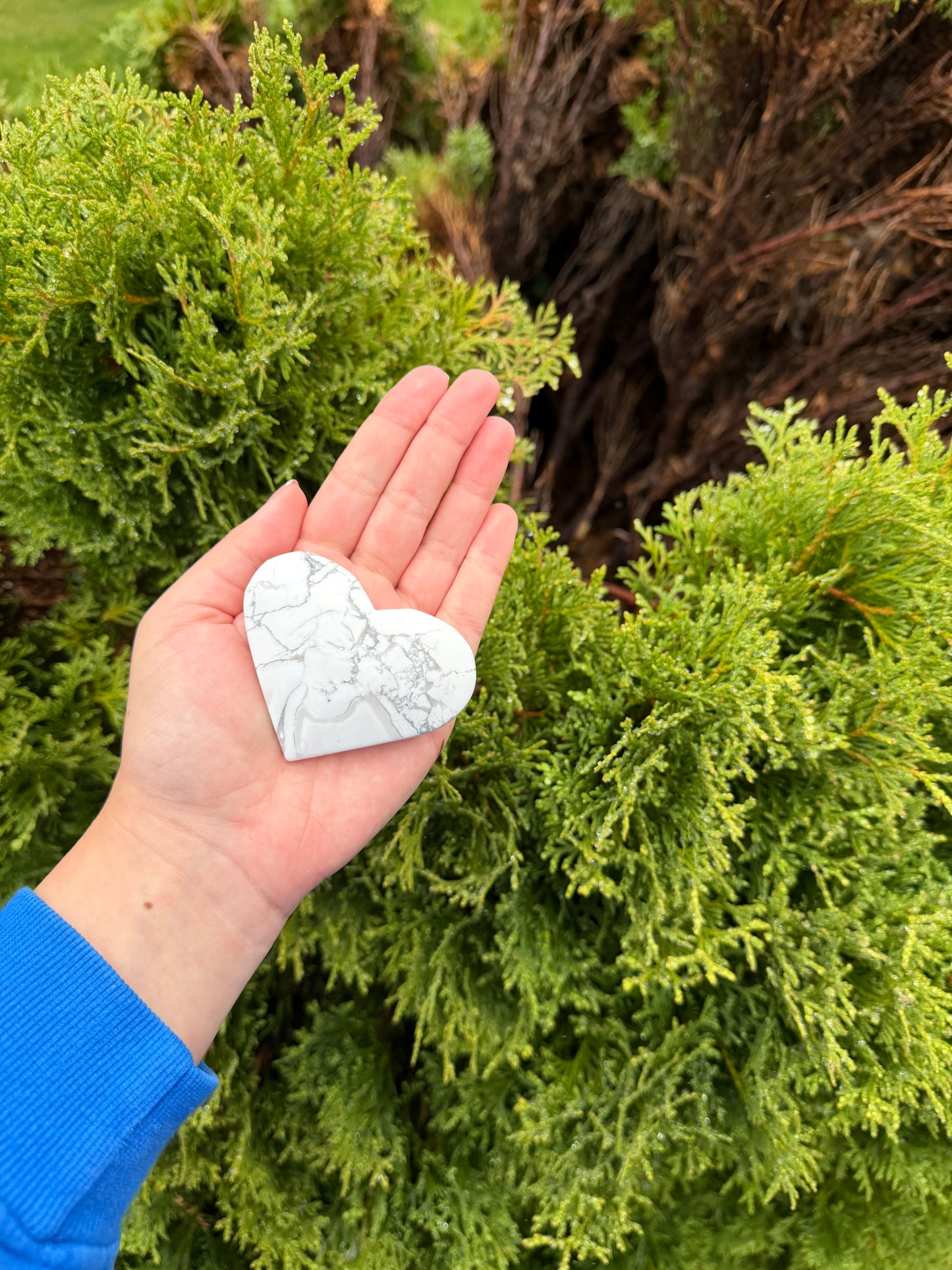 Howlite Heart 1