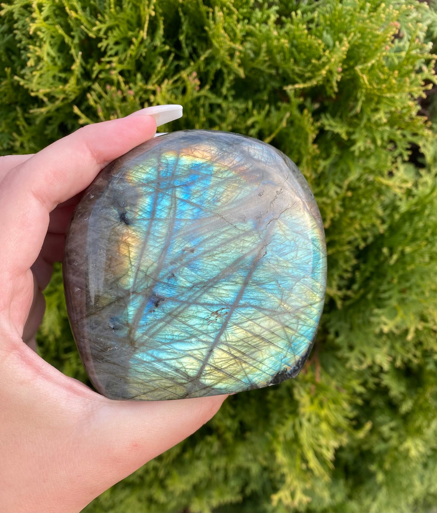 Labradorite Freeform