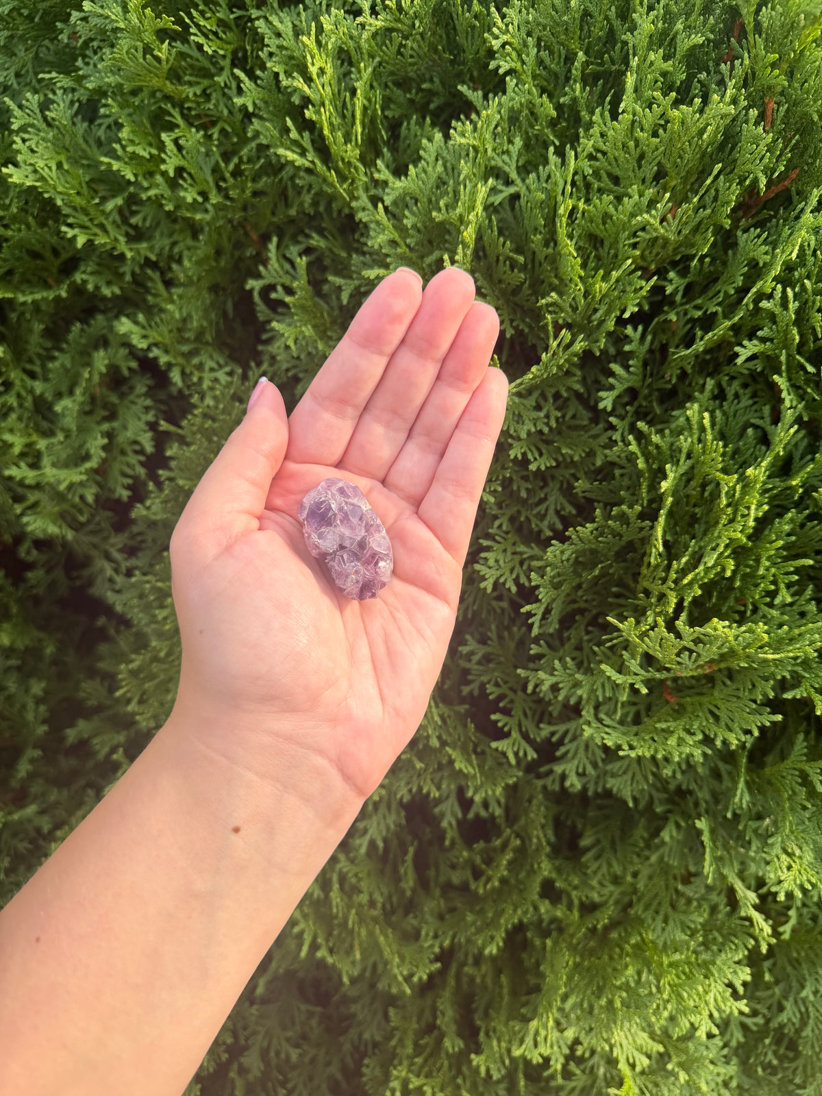 Mini Amethyst Cluster