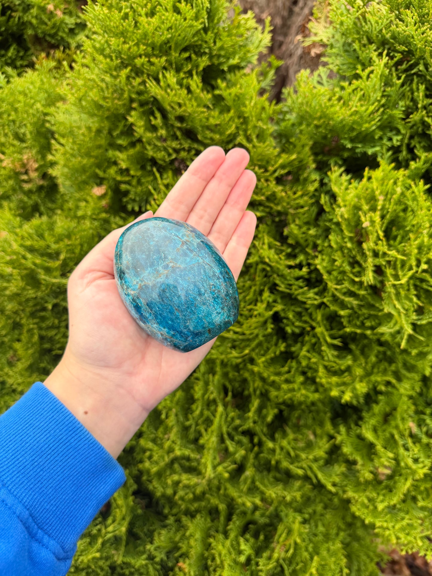 Blue Apatite Freeform
