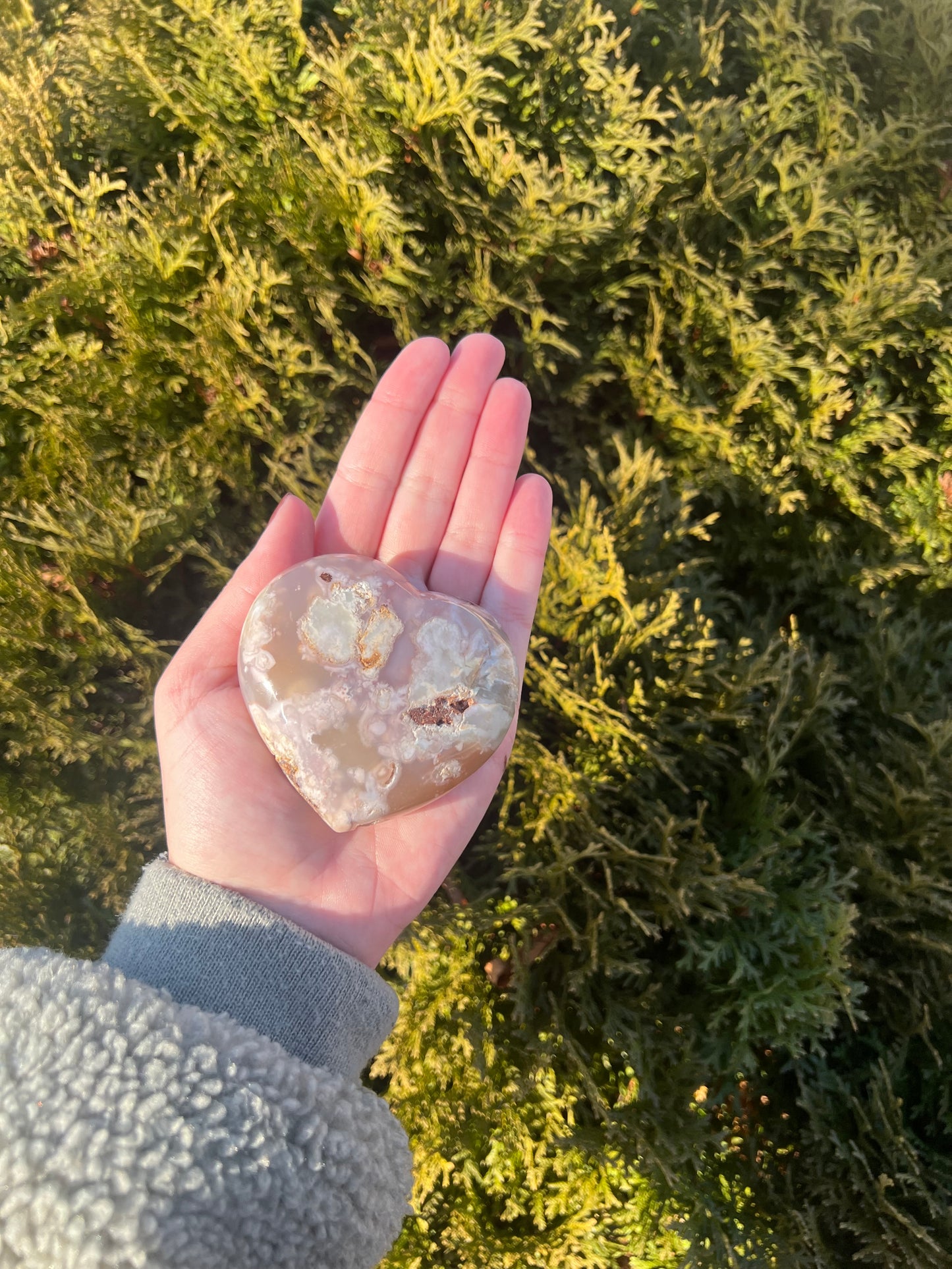 Flower Agate Heart #1