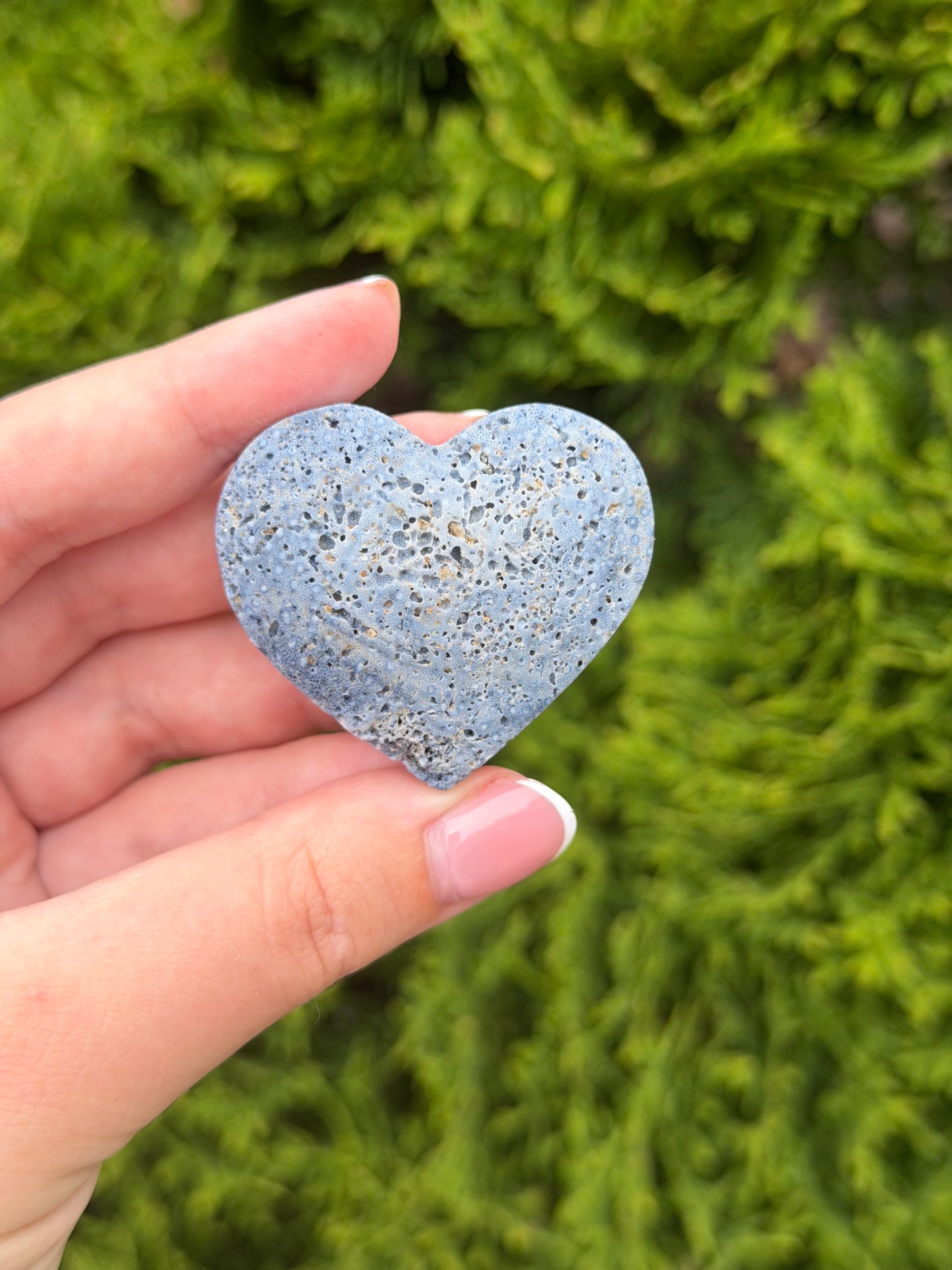 Blue Coral Jasper Heart