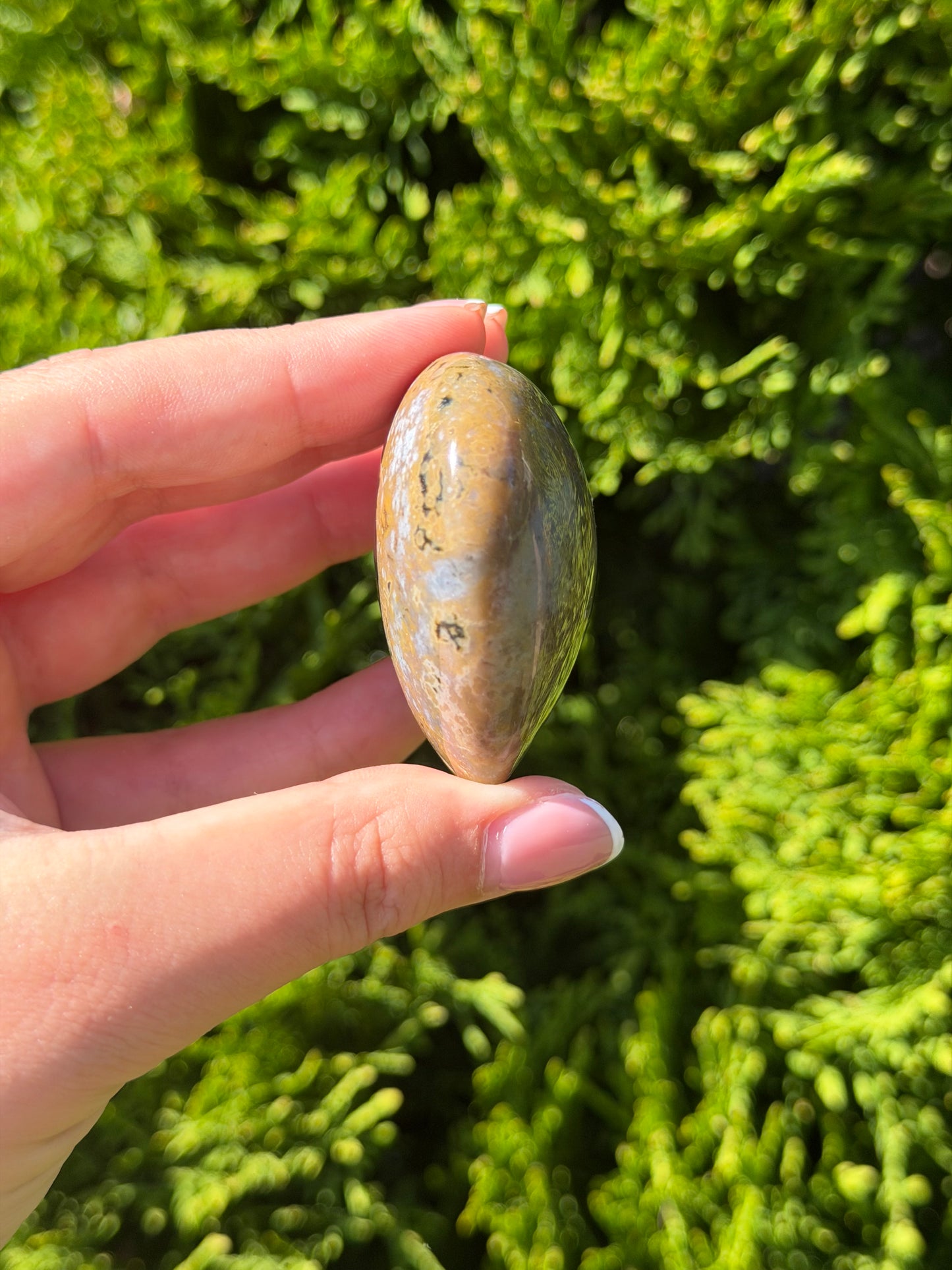 Ocean Jasper Heart