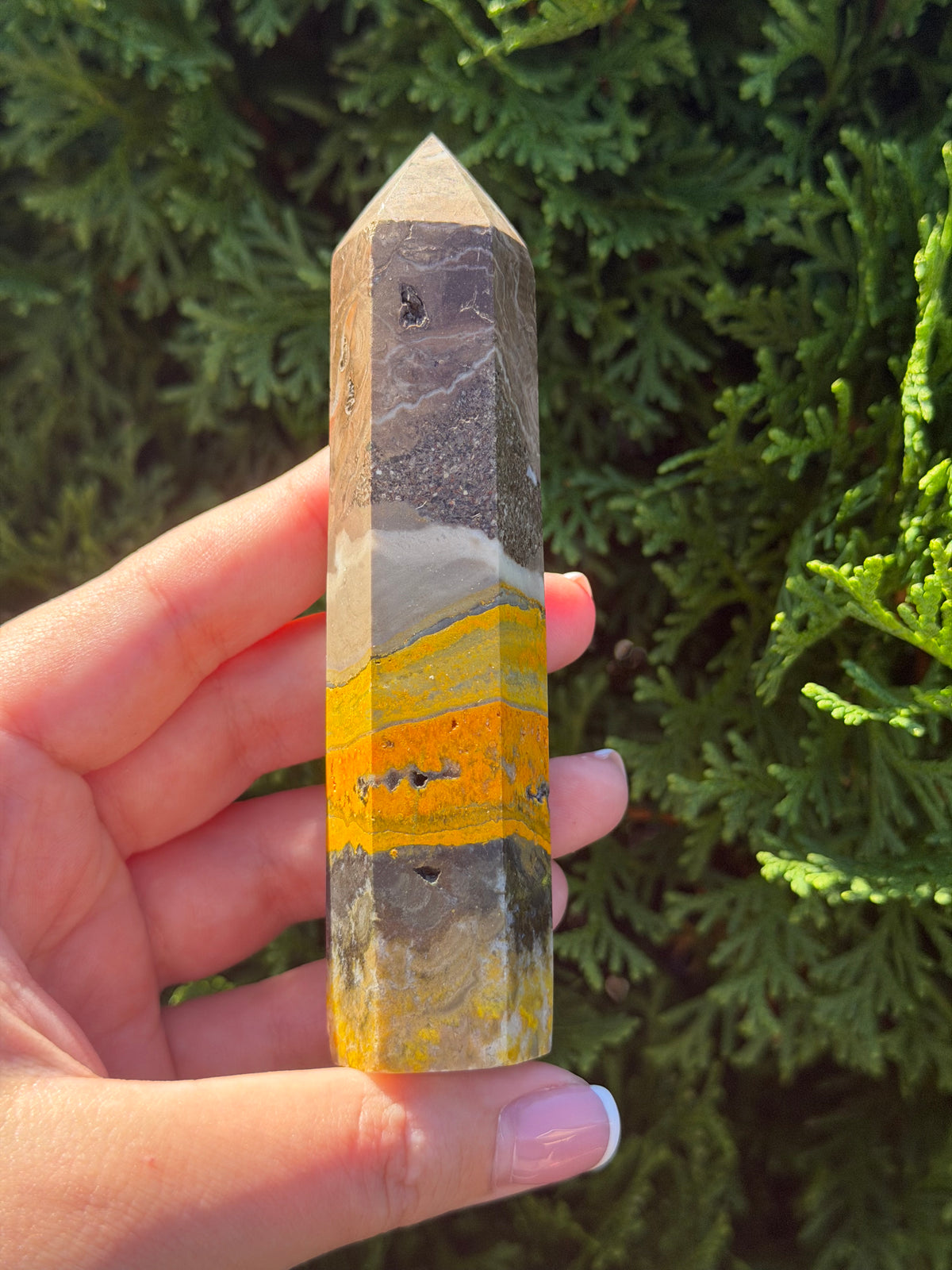 Bumblebee Jasper Point #2