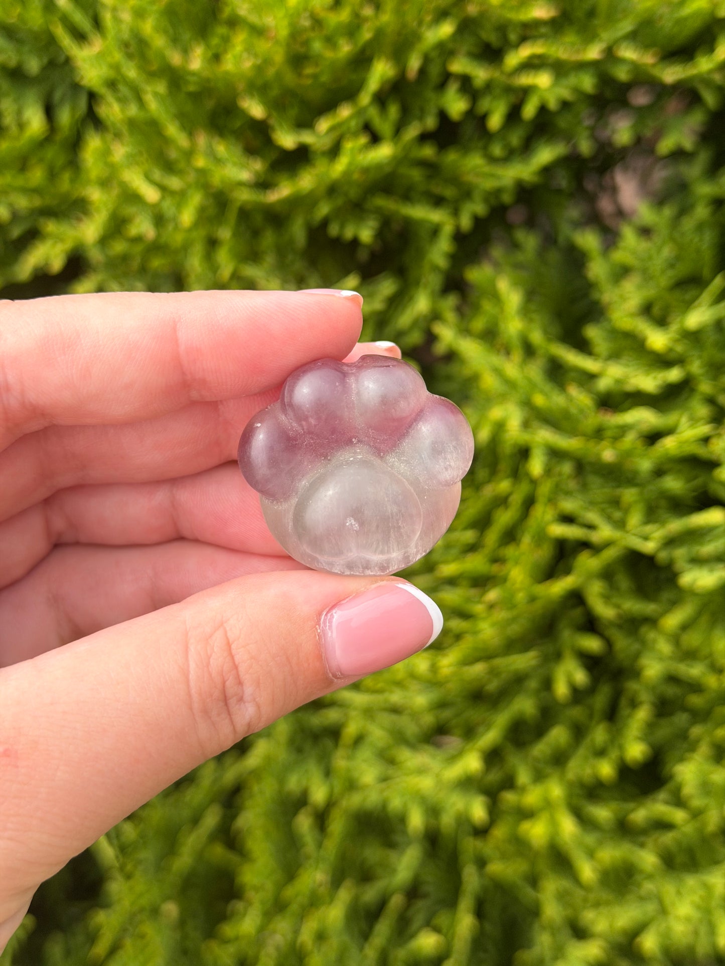 Fluorite Cat Paw 1