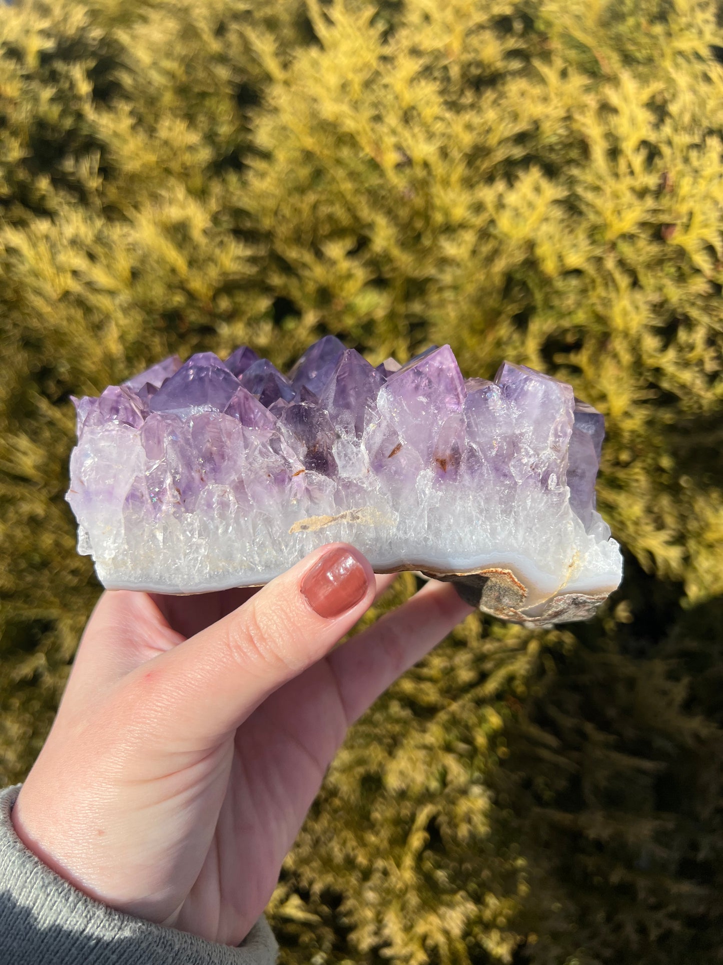 Large Amethyst Cluster