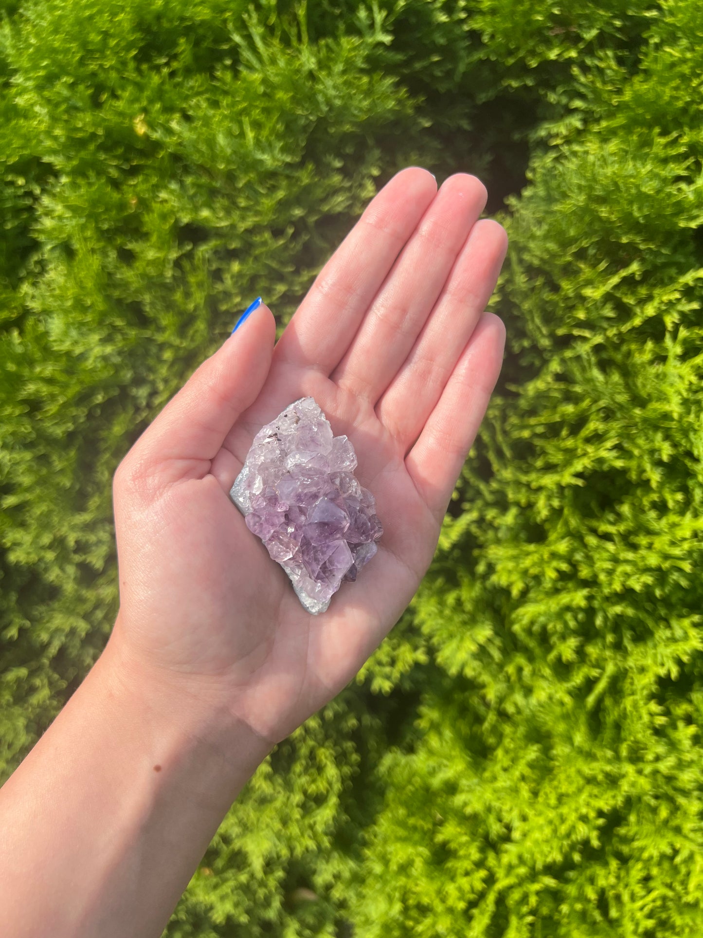 Amethyst Cluster
