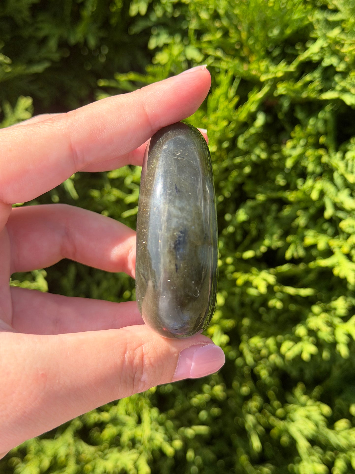 Labradorite Palm Stone