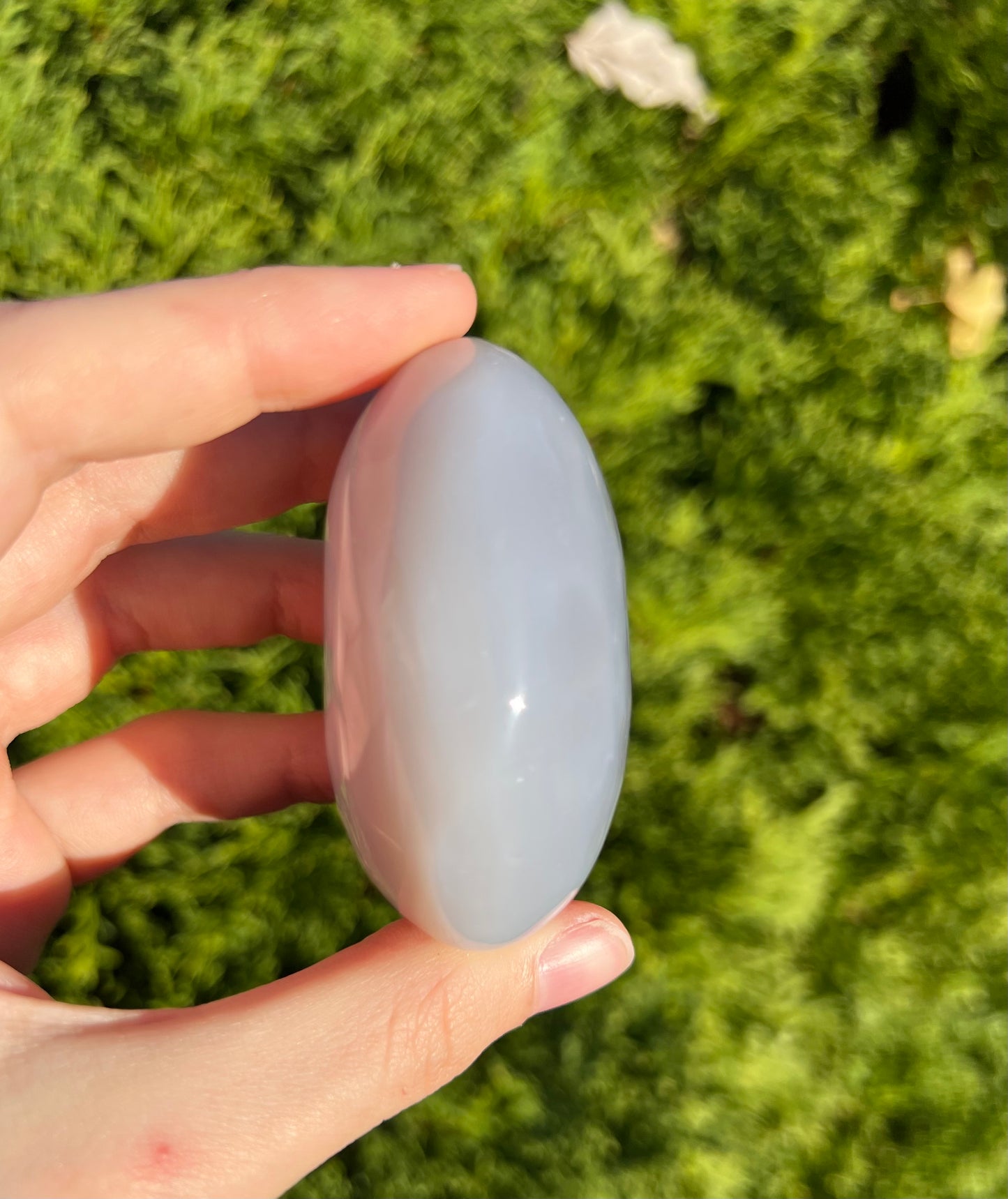 Agate Palm Stone