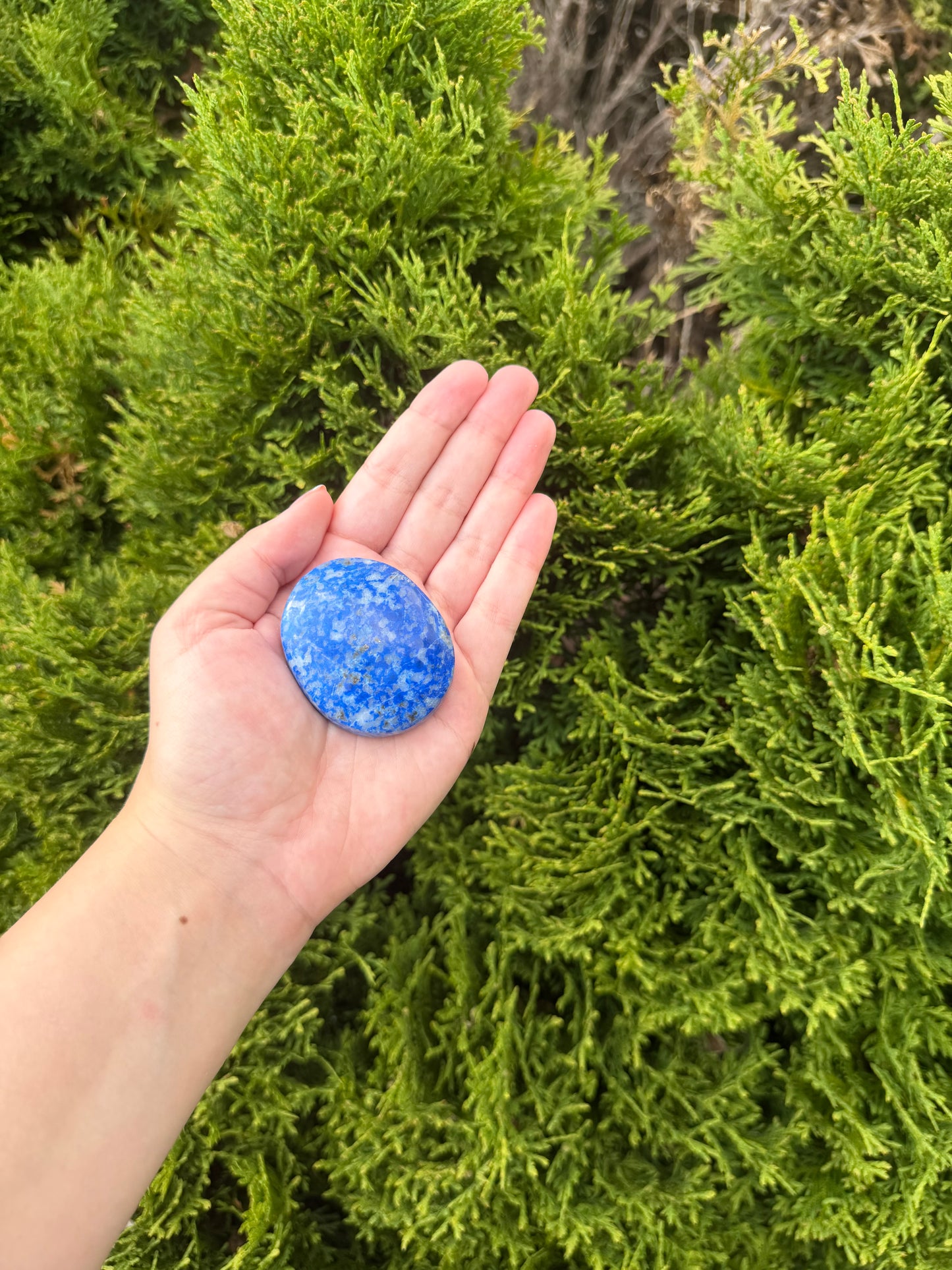 Lapis Lazuli Palm Stone 4