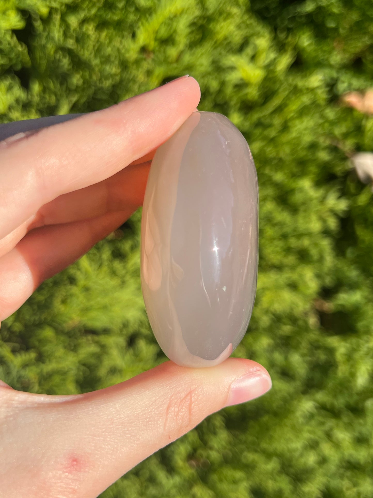 Agate Palm Stone