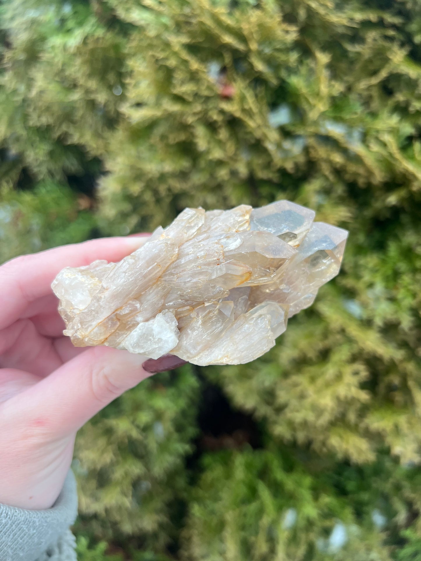 Kundalini Citrine Cluster