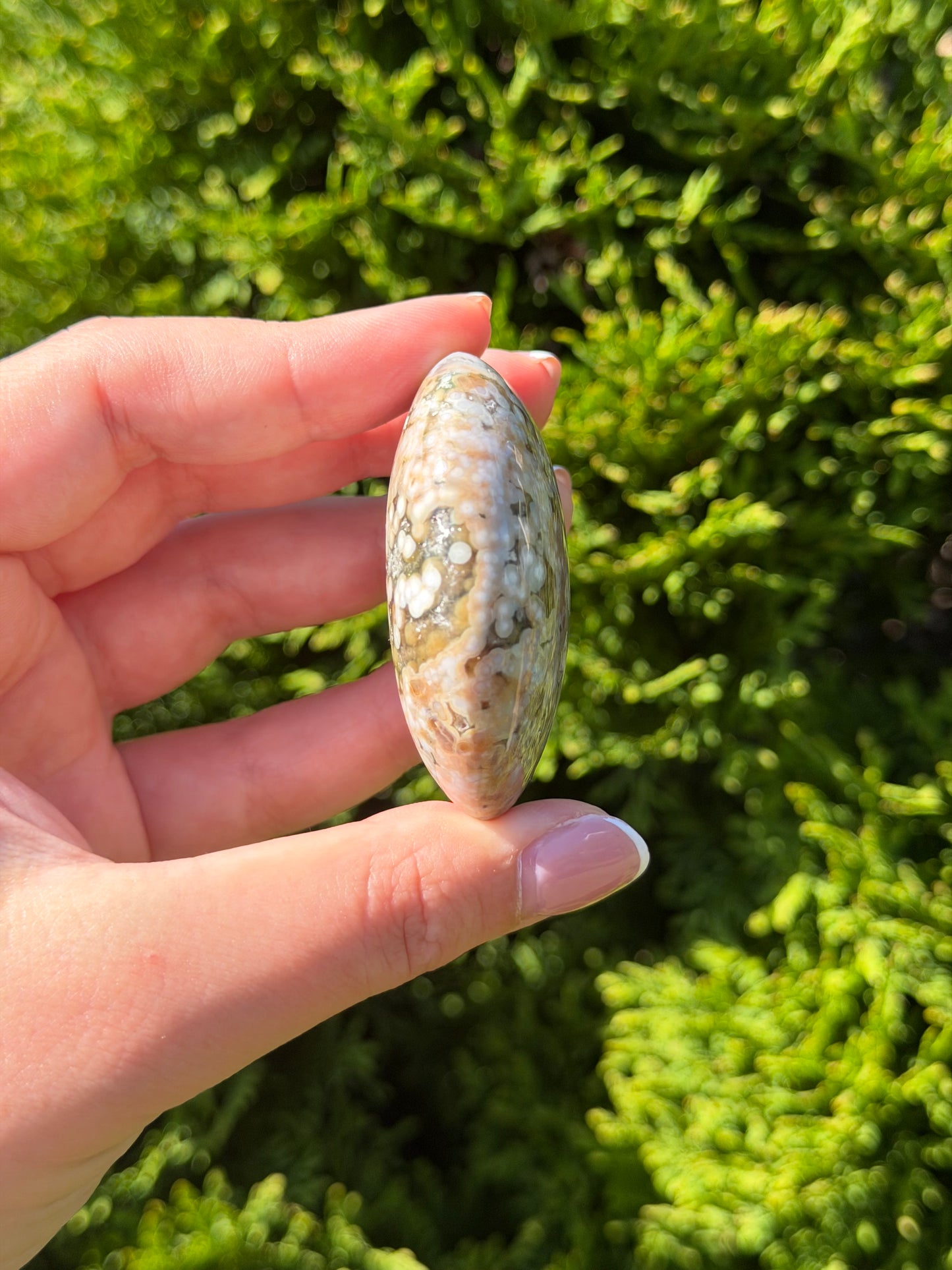 Bubble Ocean Jasper Palm Stone