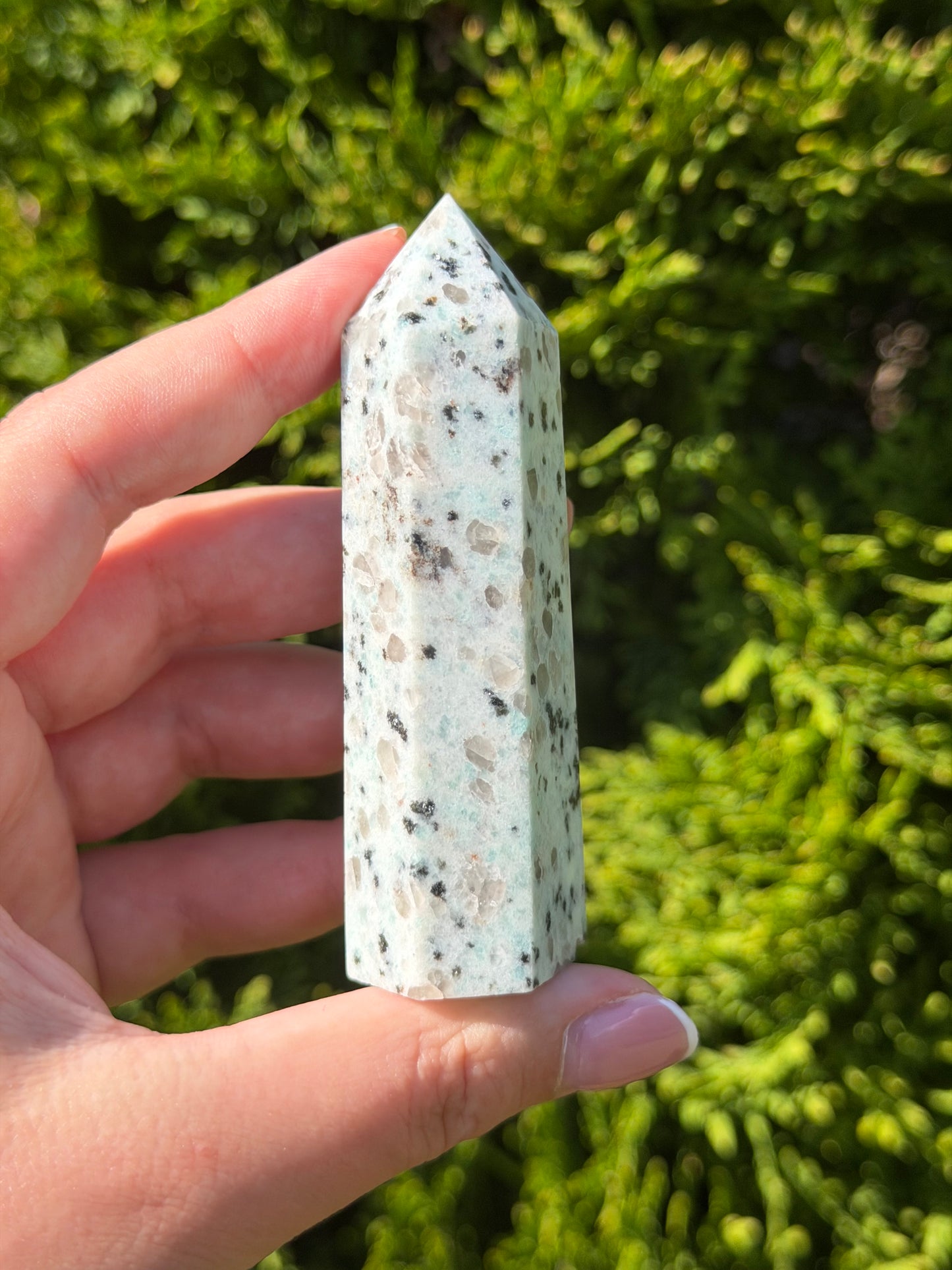 Kiwi Jasper Point