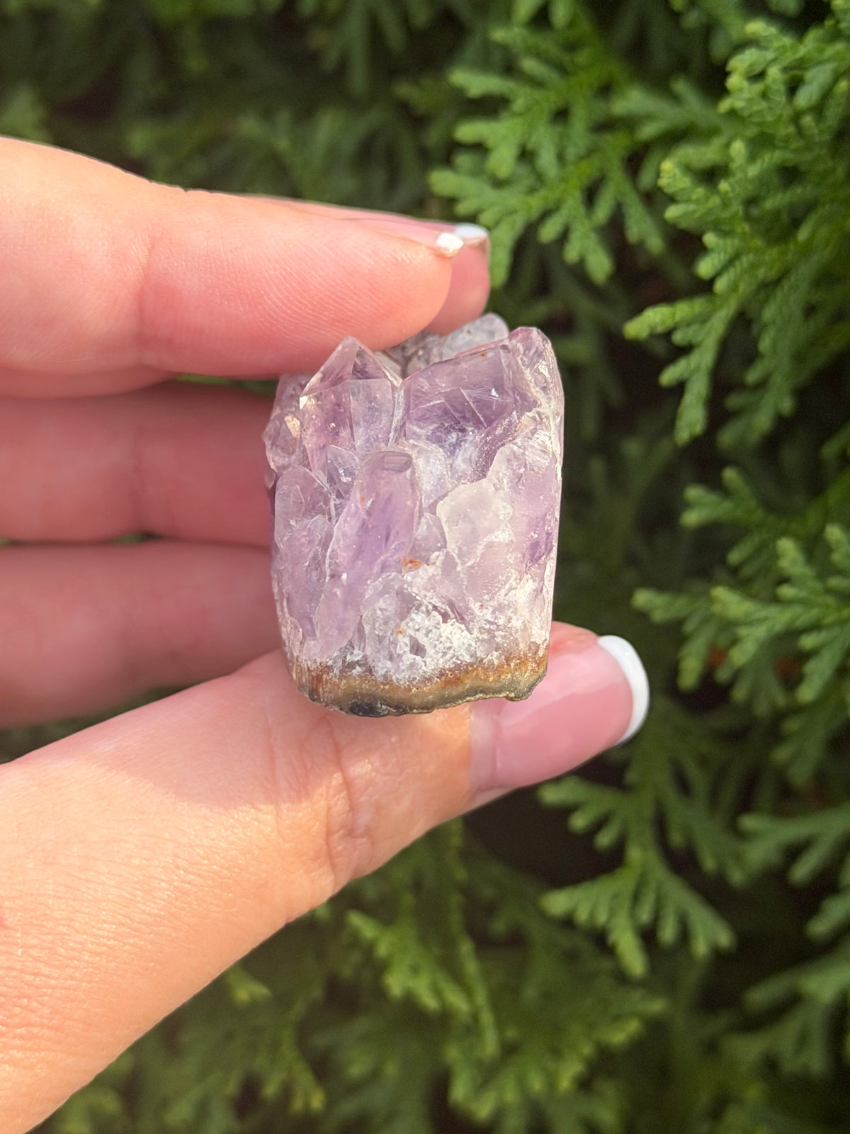 Mini Amethyst Cluster