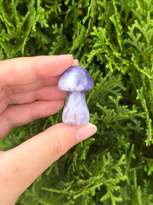Chevron Amethyst Mushroom