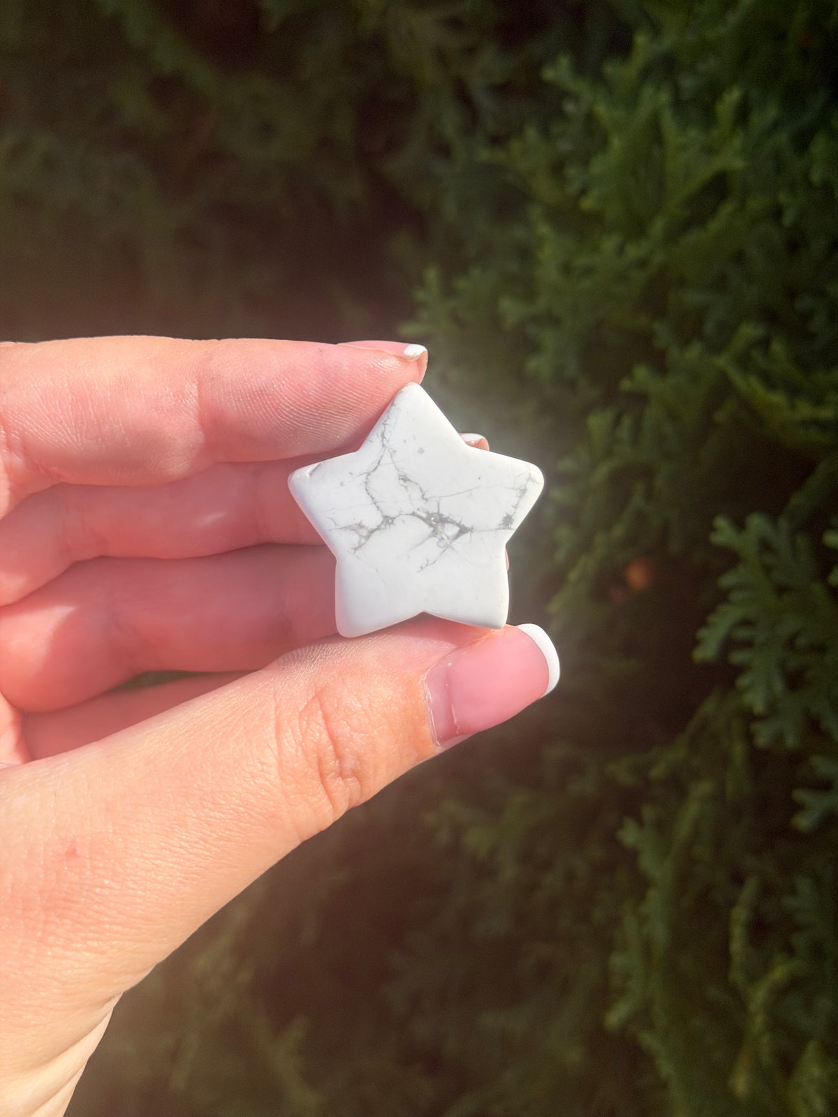 Howlite Mini Star