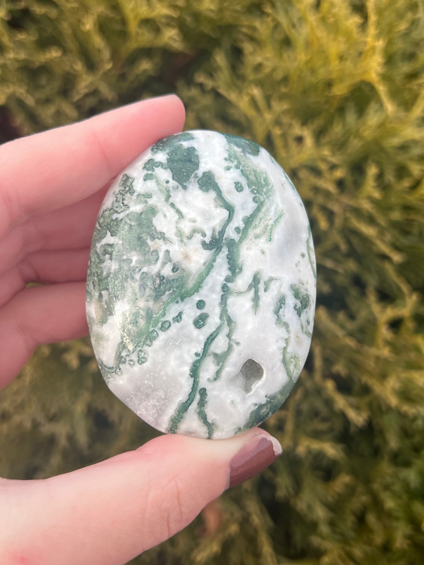 Druzy Moss Agate Palm Stone