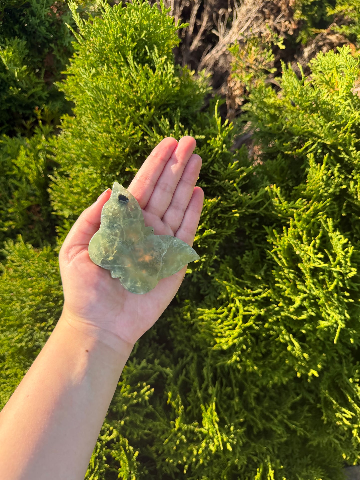 Prehnite Butterfly
