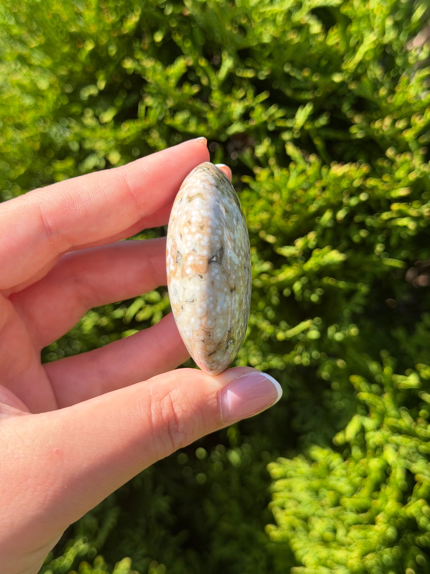 Bubble Ocean Jasper Palm Stone
