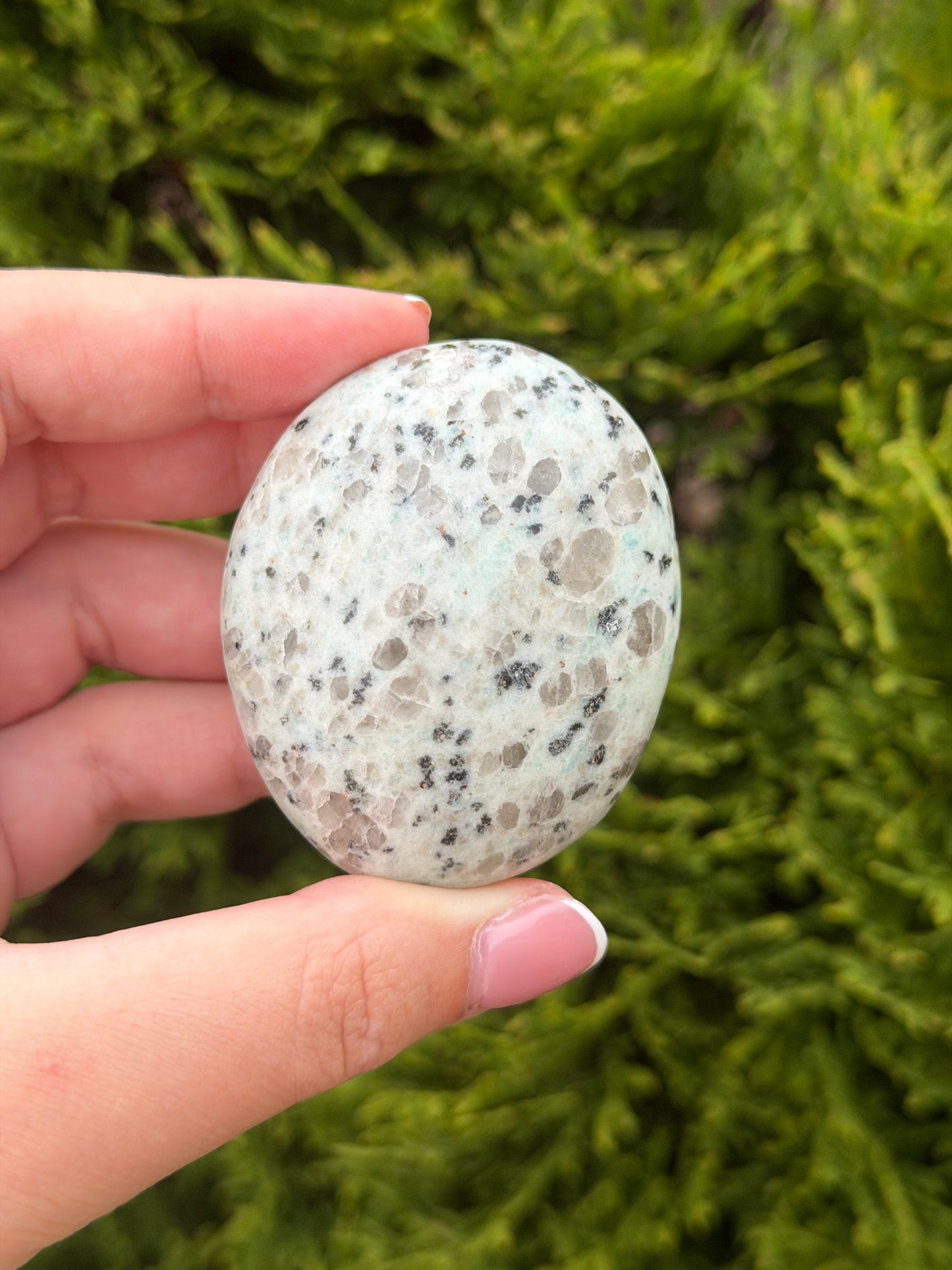 Kiwi Jasper Palm Stone
