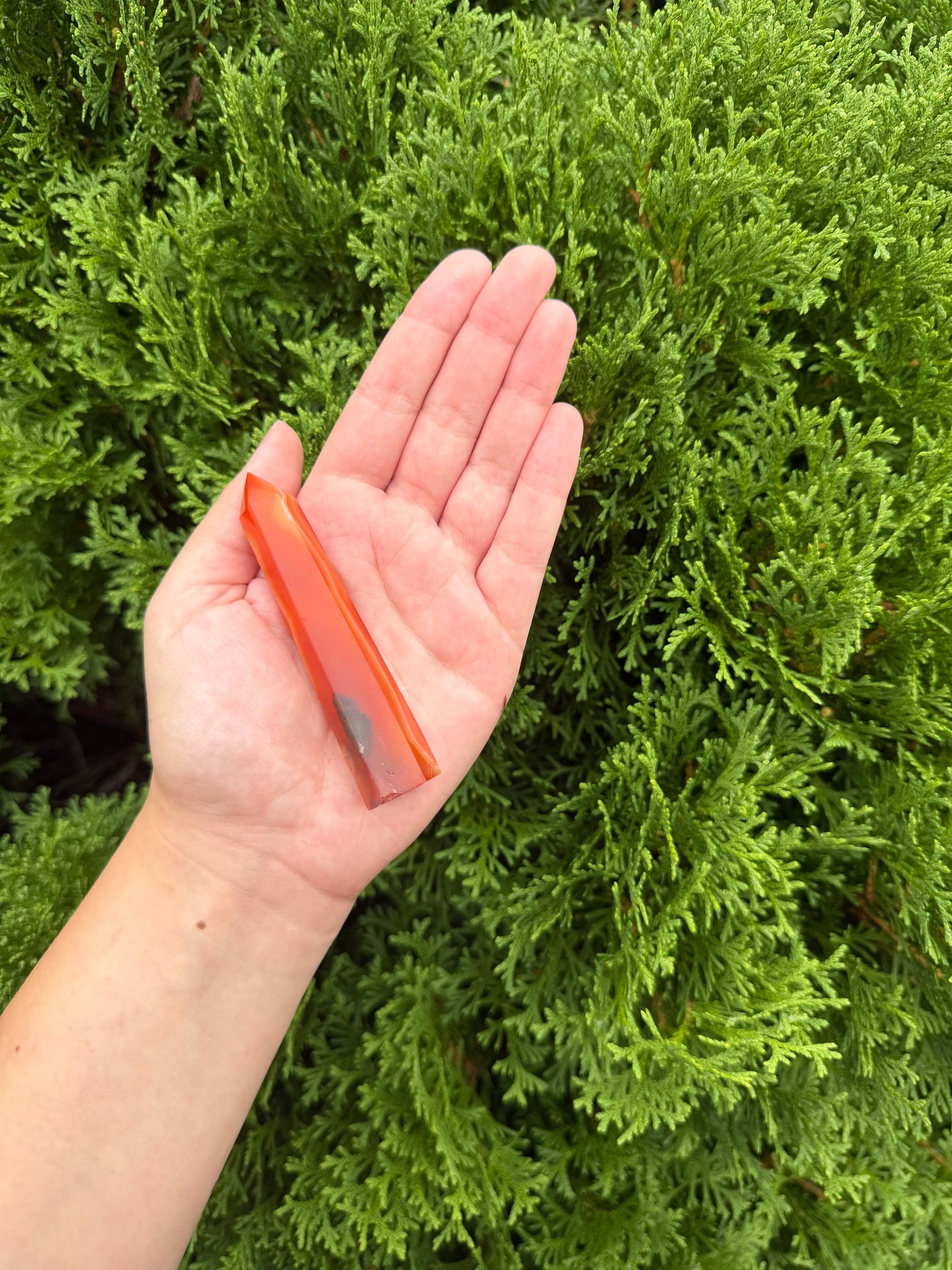Carnelian Point