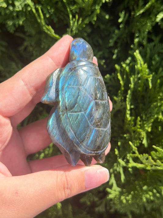 Labradorite Turtle