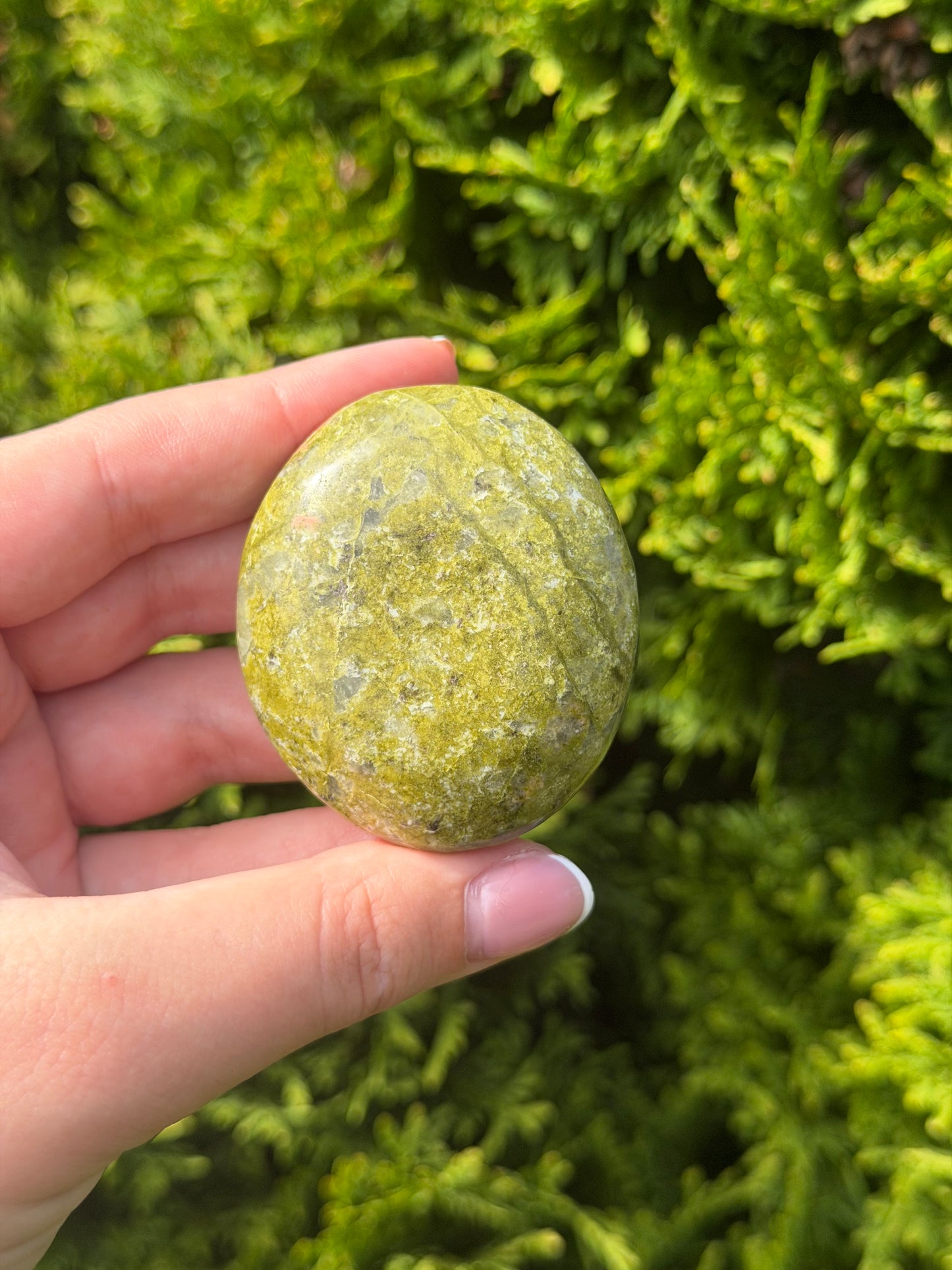 Unakite Palm Stone