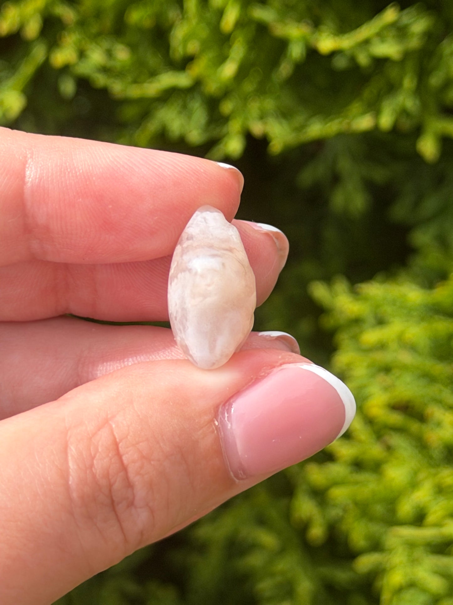 Mini Flower Agate Star