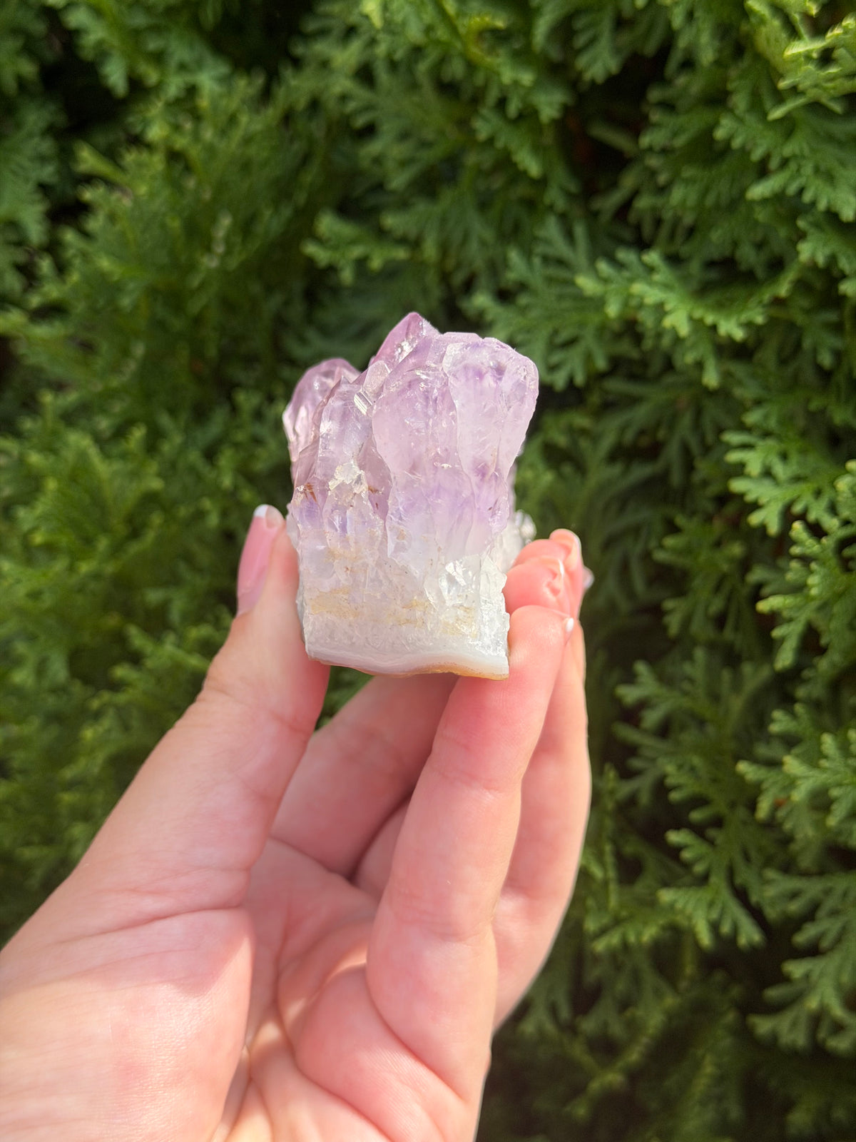 Amethyst Cluster