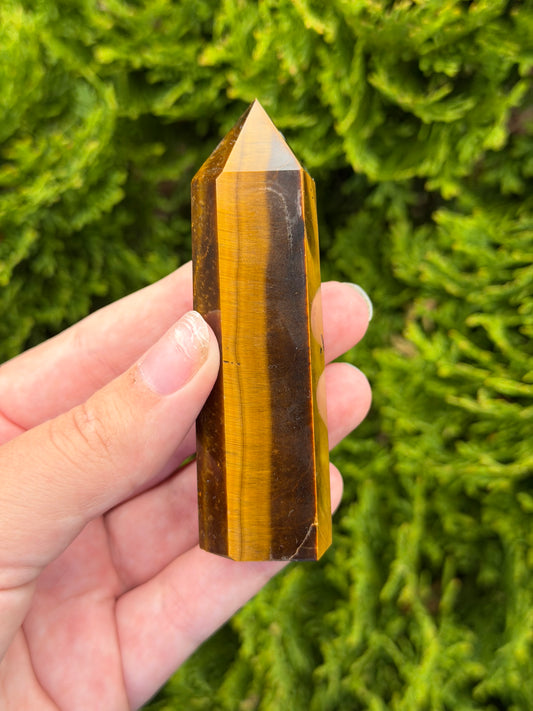Tiger’s Eye Point 1