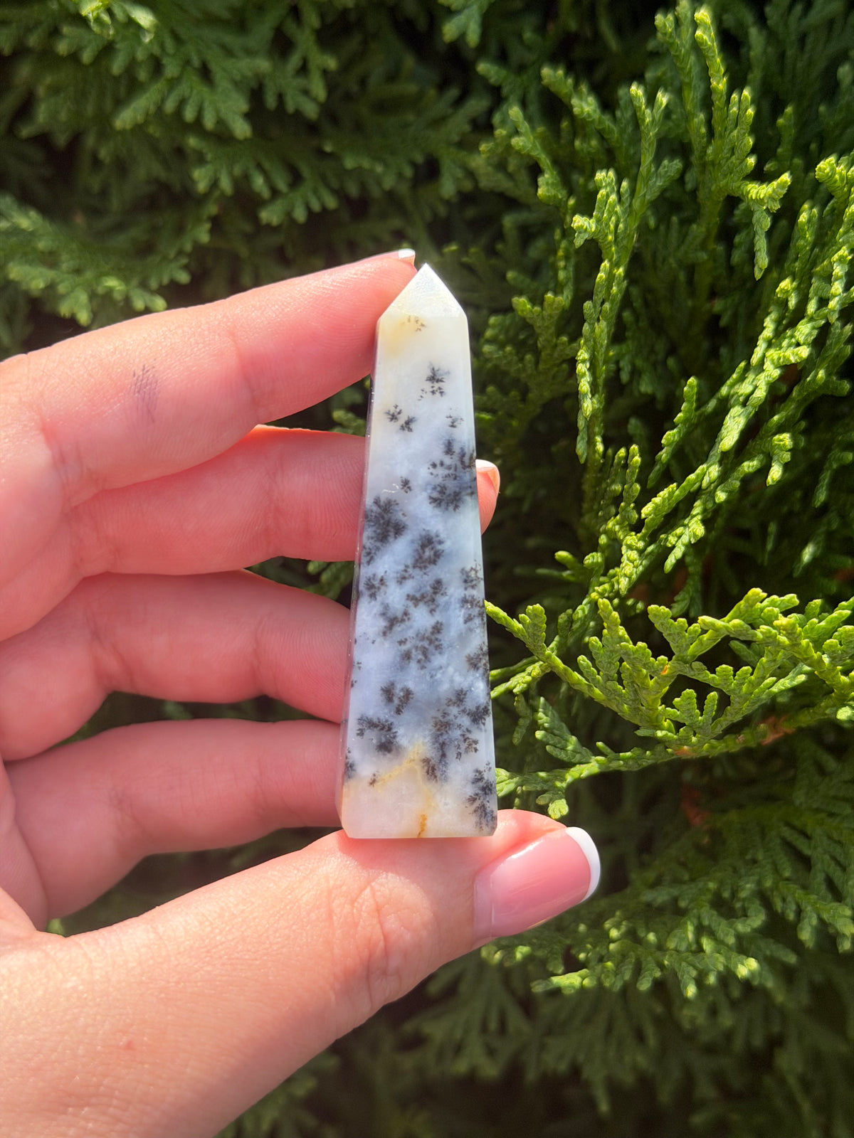 Mini Dendritic Agate Obelisk