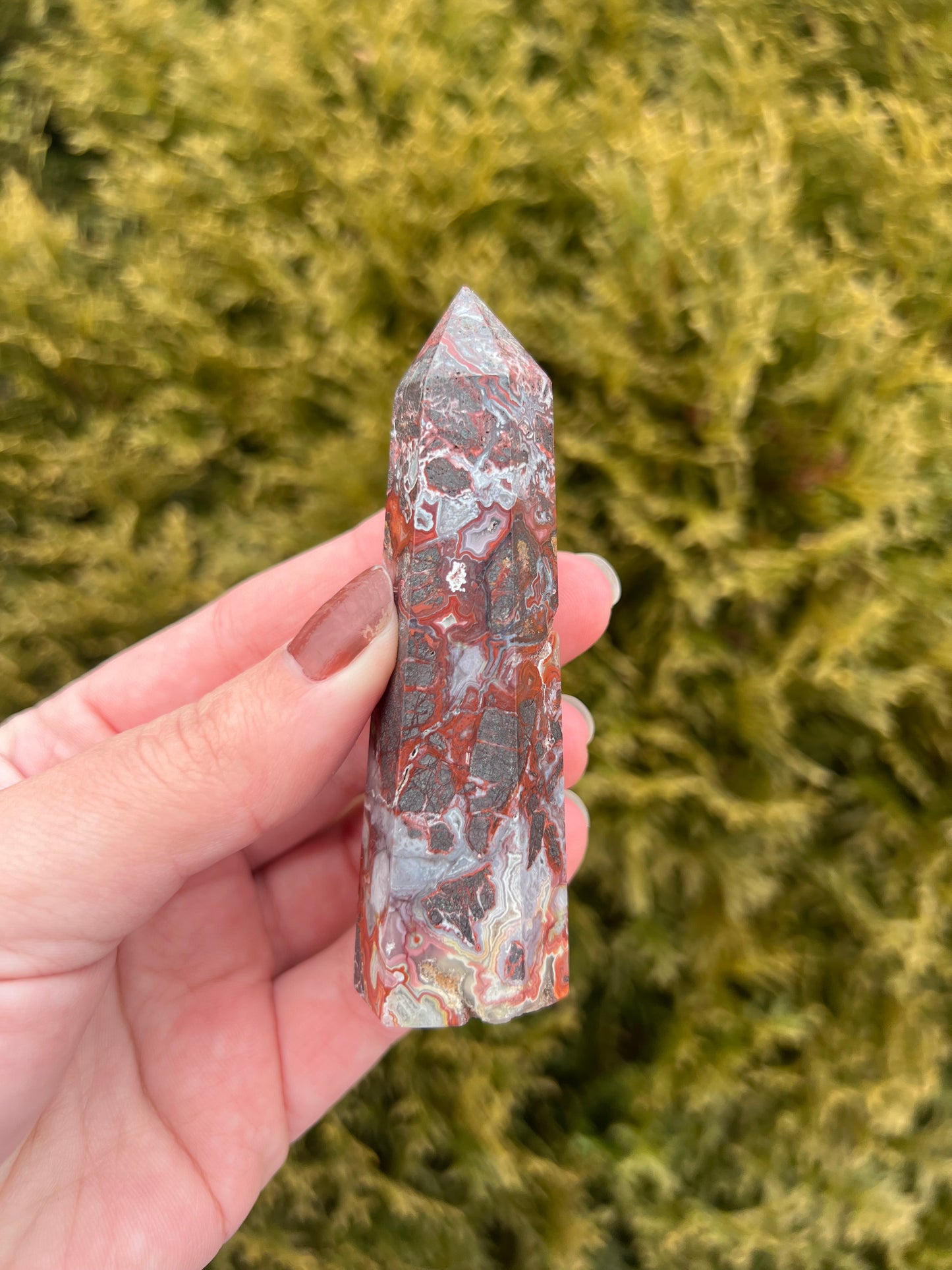 Mexico Lace Agate Point