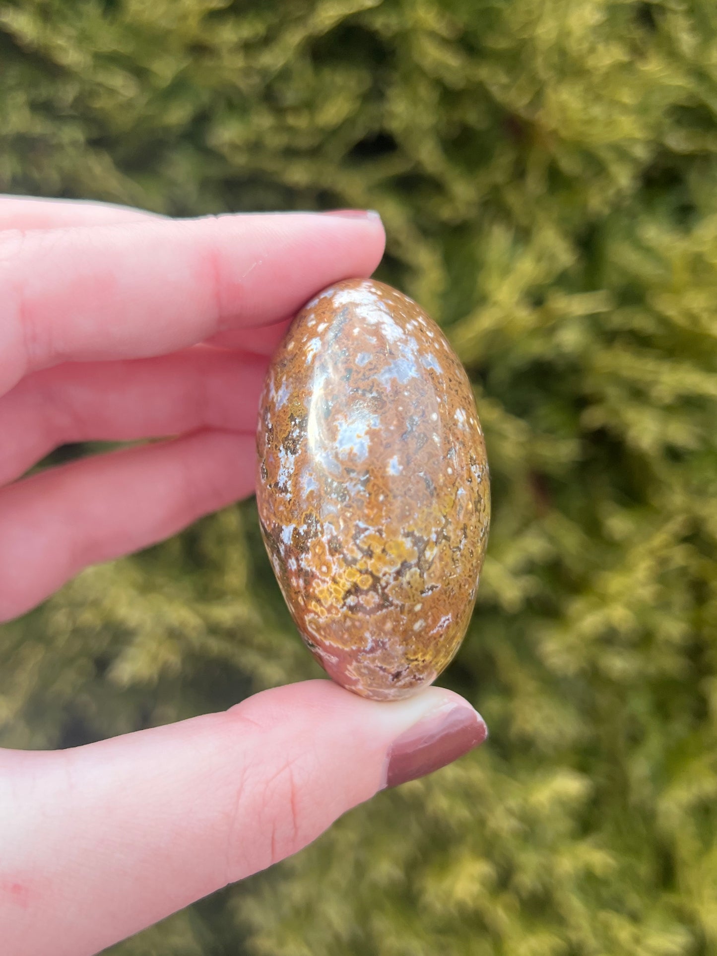 Small Ocean Jasper Palm Stone
