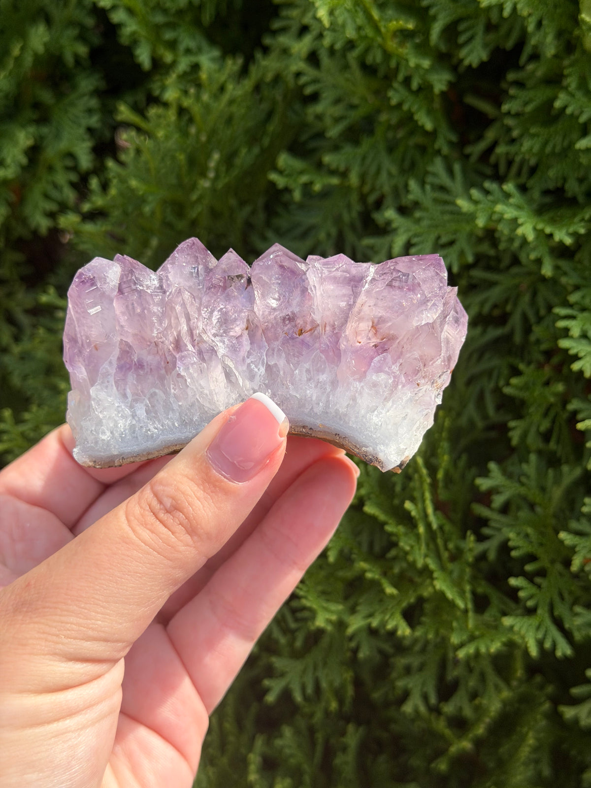 Amethyst Cluster