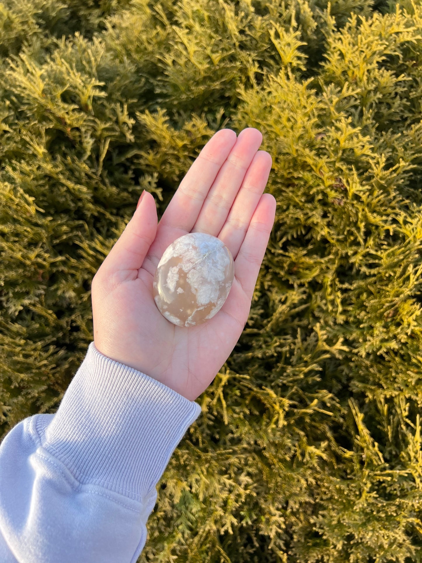 Flower Agate Palm Stone