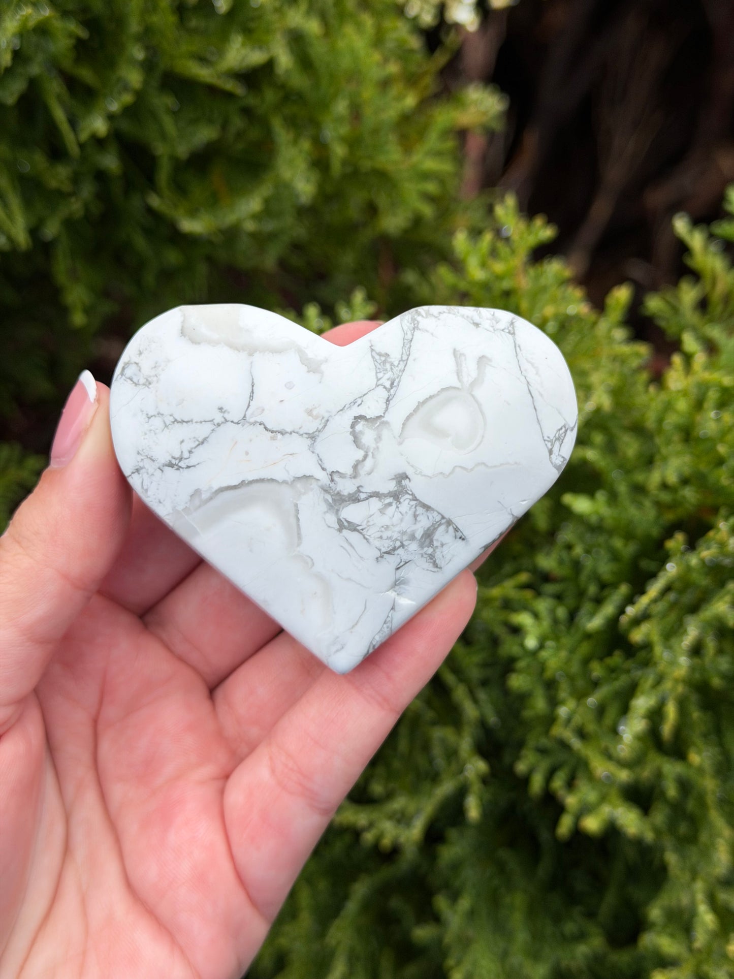 Howlite Heart 1